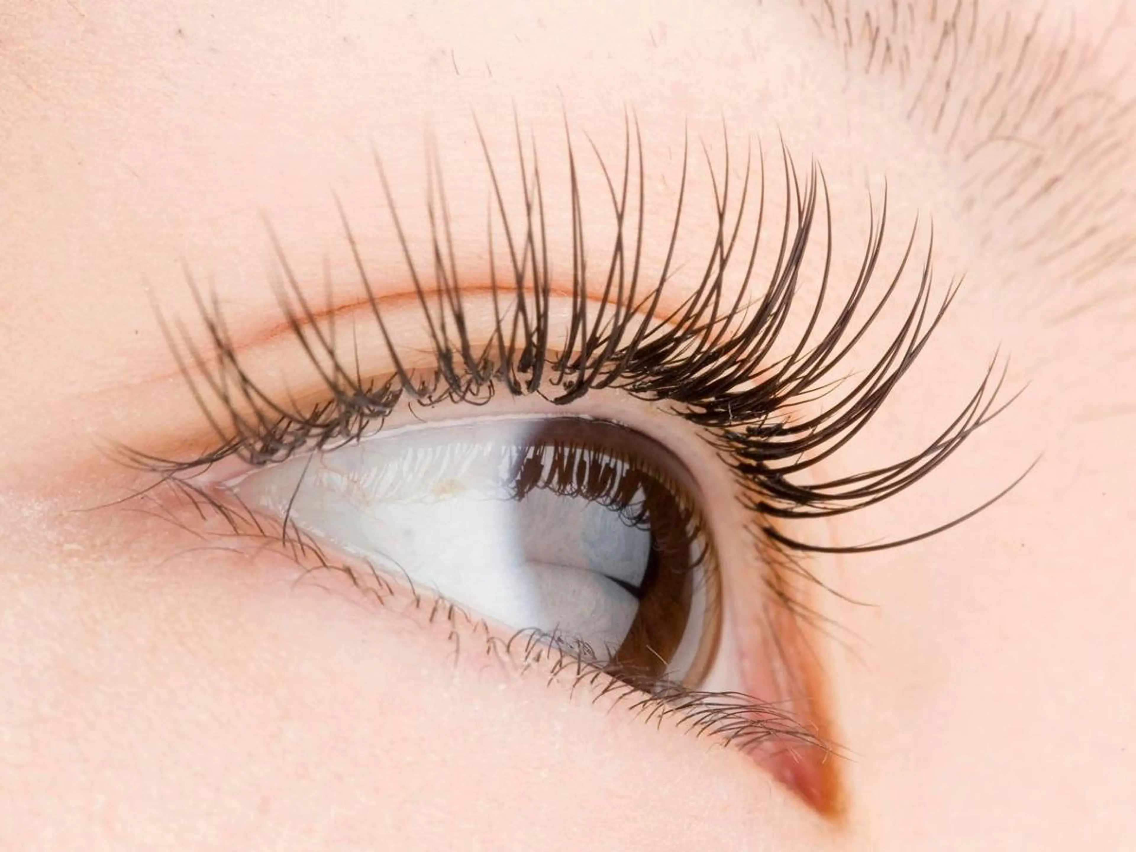 パリジェンヌラッシュリフトモデルさん募集の写真