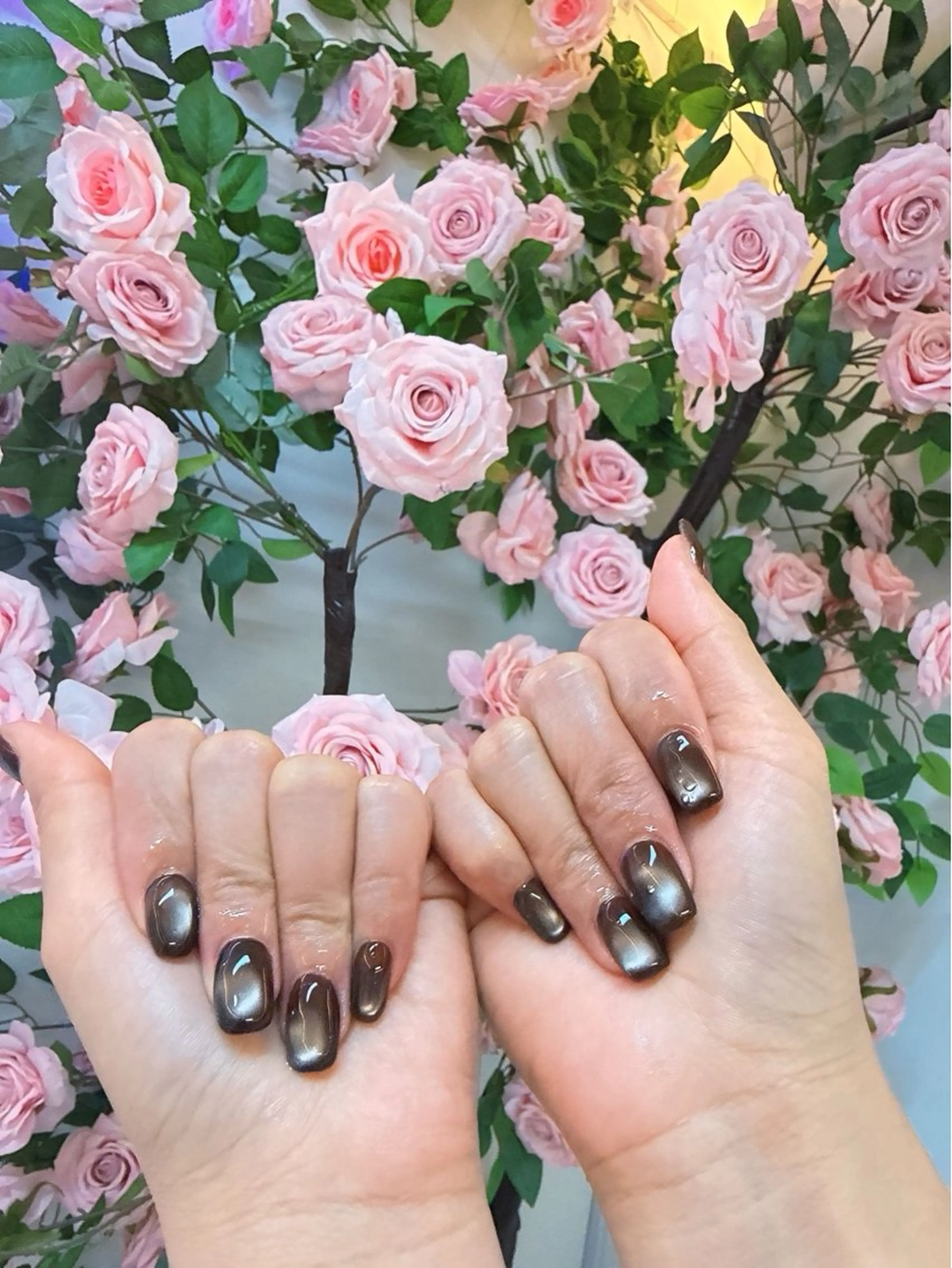 ネイル ブラウン マグネットネイル Beauty Pink Nailのネイルデザイン