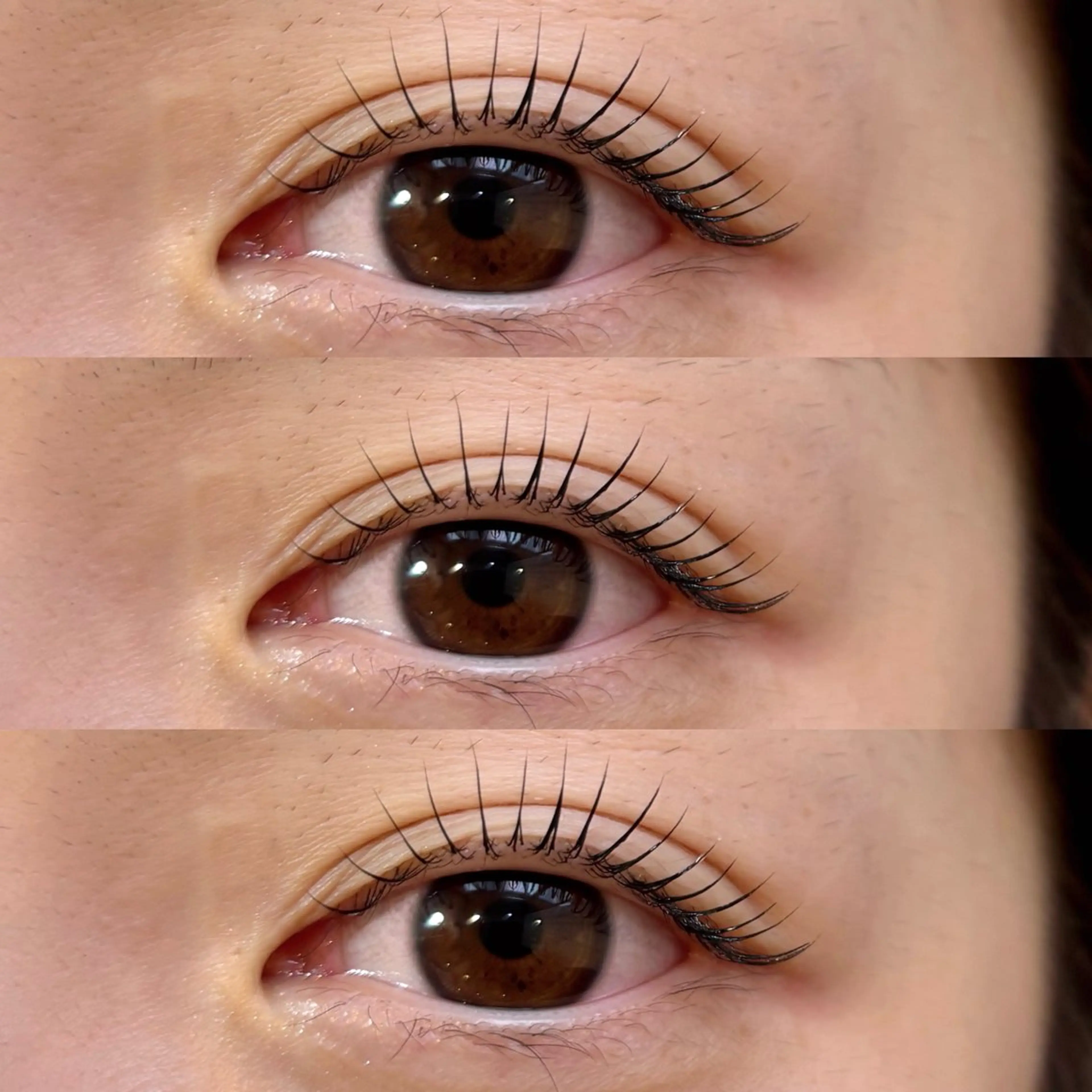 マツエク・マツパ ケラチンラッシュリフト マツパ Shelly Garden所属・kana🎀まつぱ/ ハーブピーリングの眉毛・アイブロウイメージ