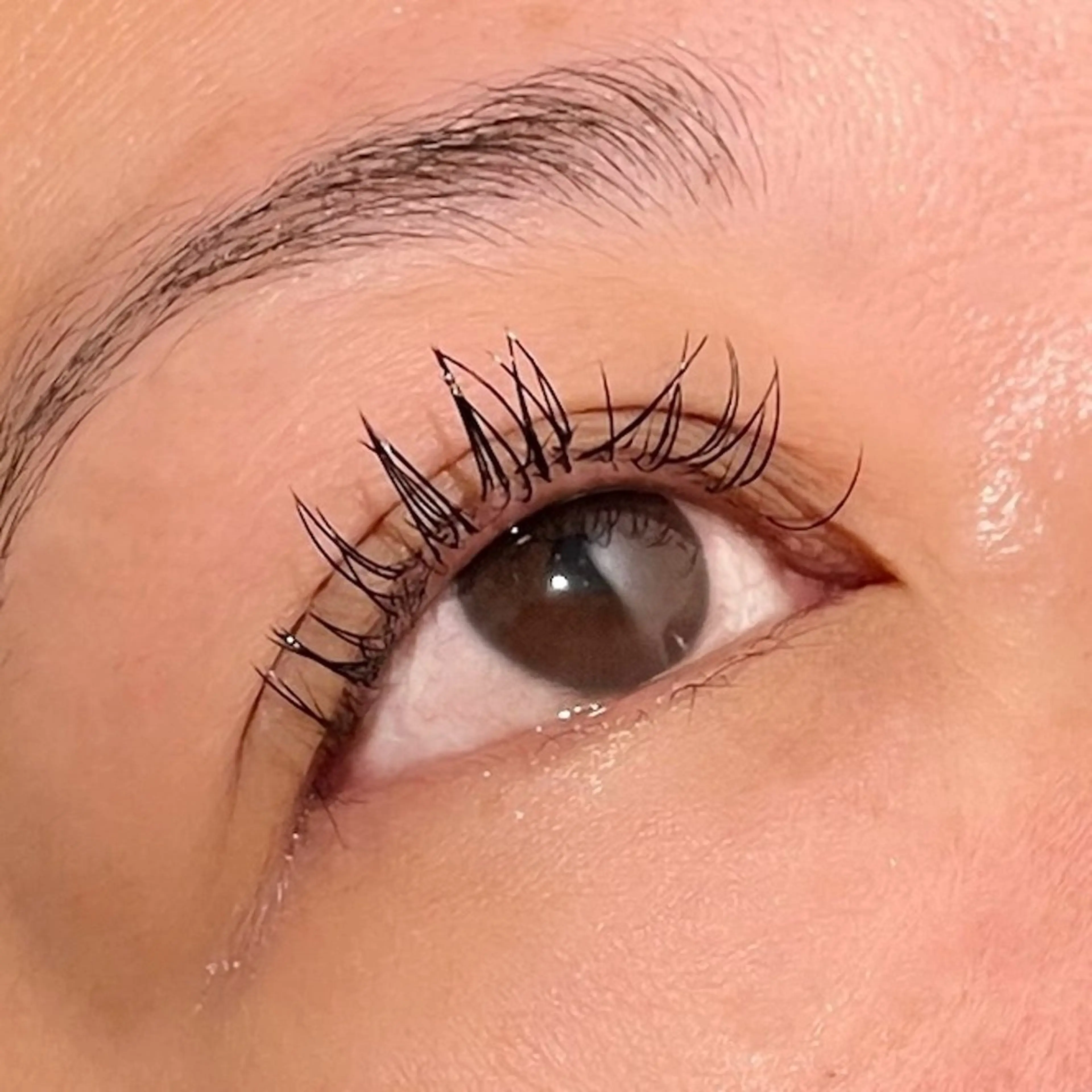 マツエク・マツパ ミンク ナチュラル セーブル マツエク TRUTH獨協大学前 ♡本多のマツエク・マツパデザイン