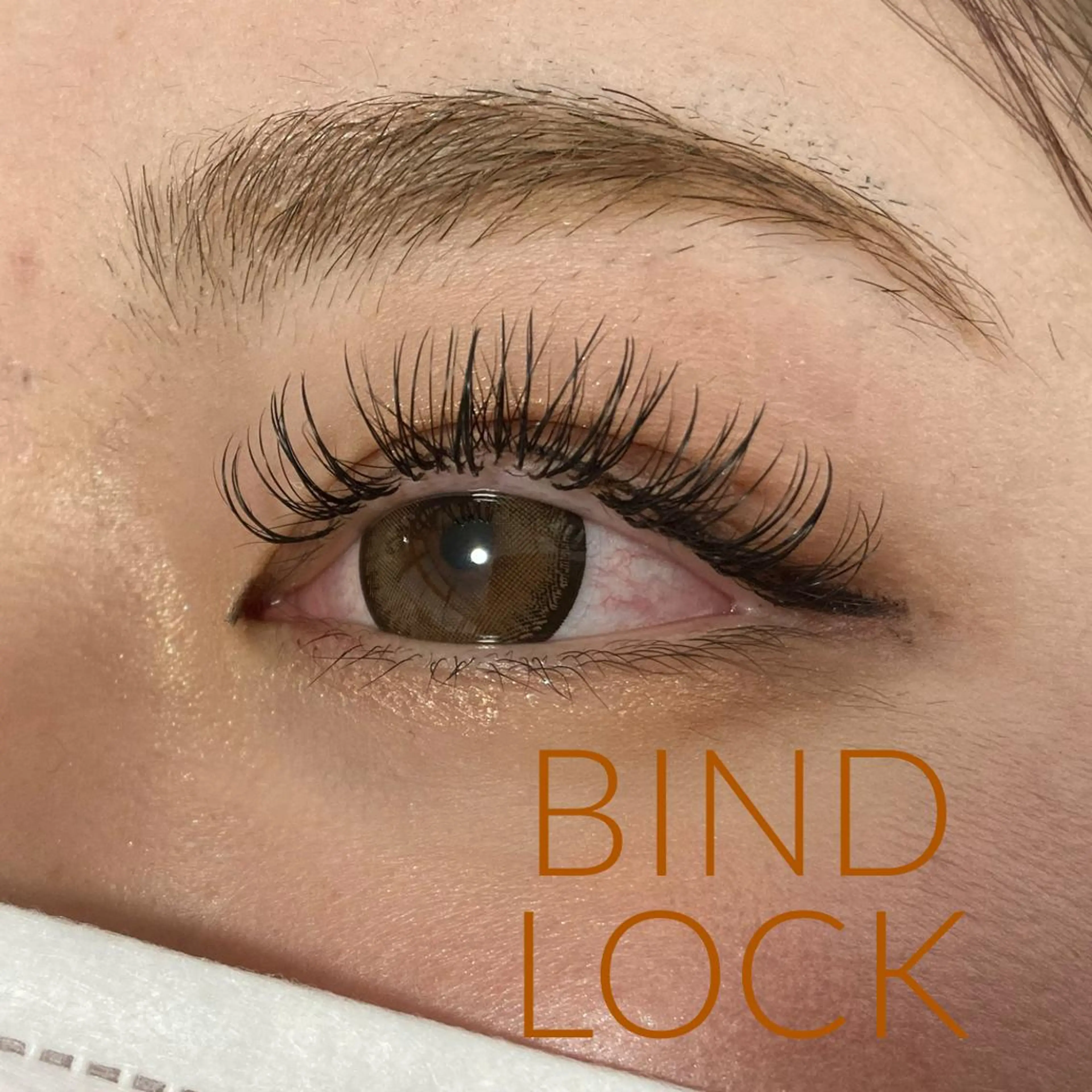 🌹BINDLOCK 120束《LED変更¥800◎》の写真