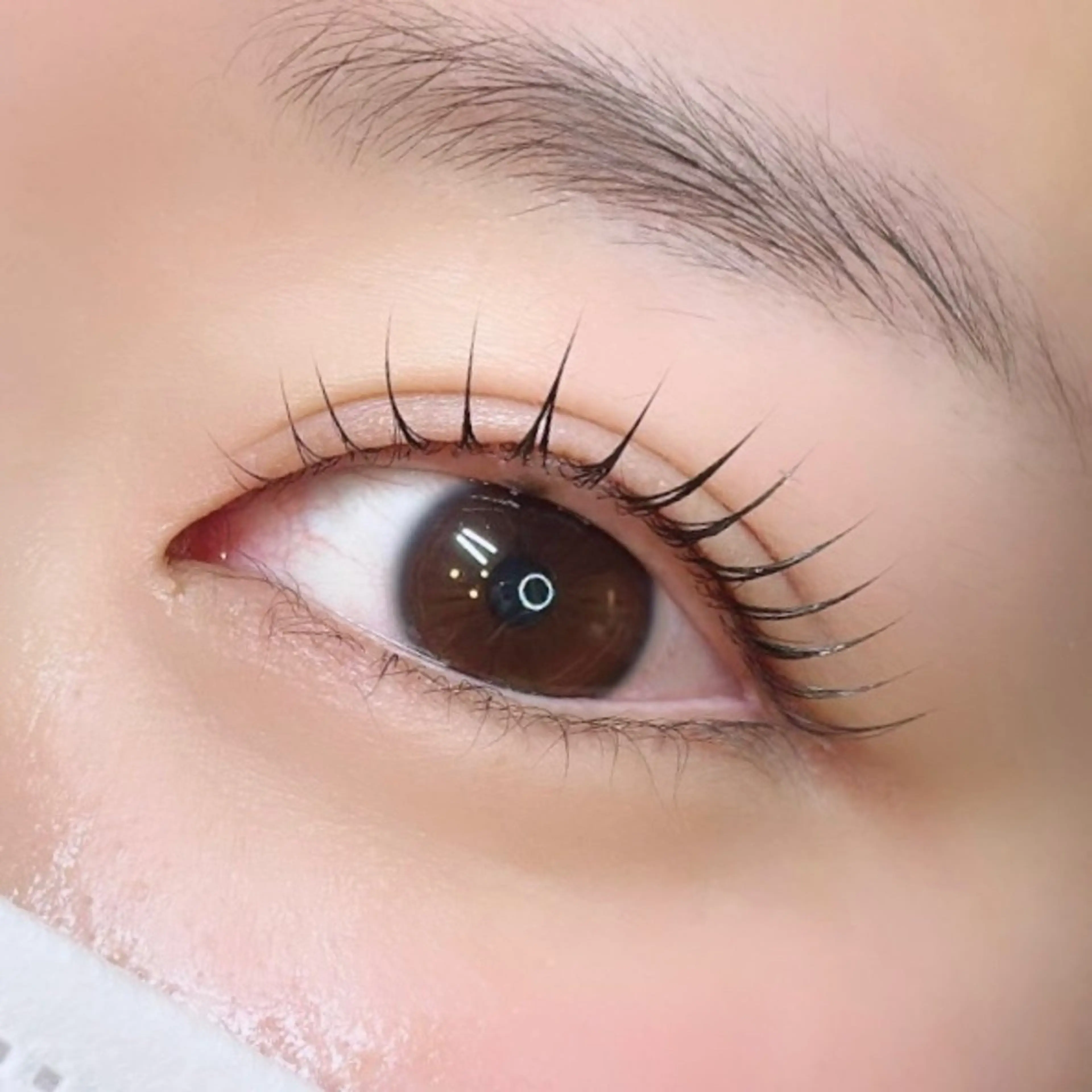 マツエク・マツパ 束感まつ毛 韓国風マツエク ella eyelashのマツエク・マツパデザイン