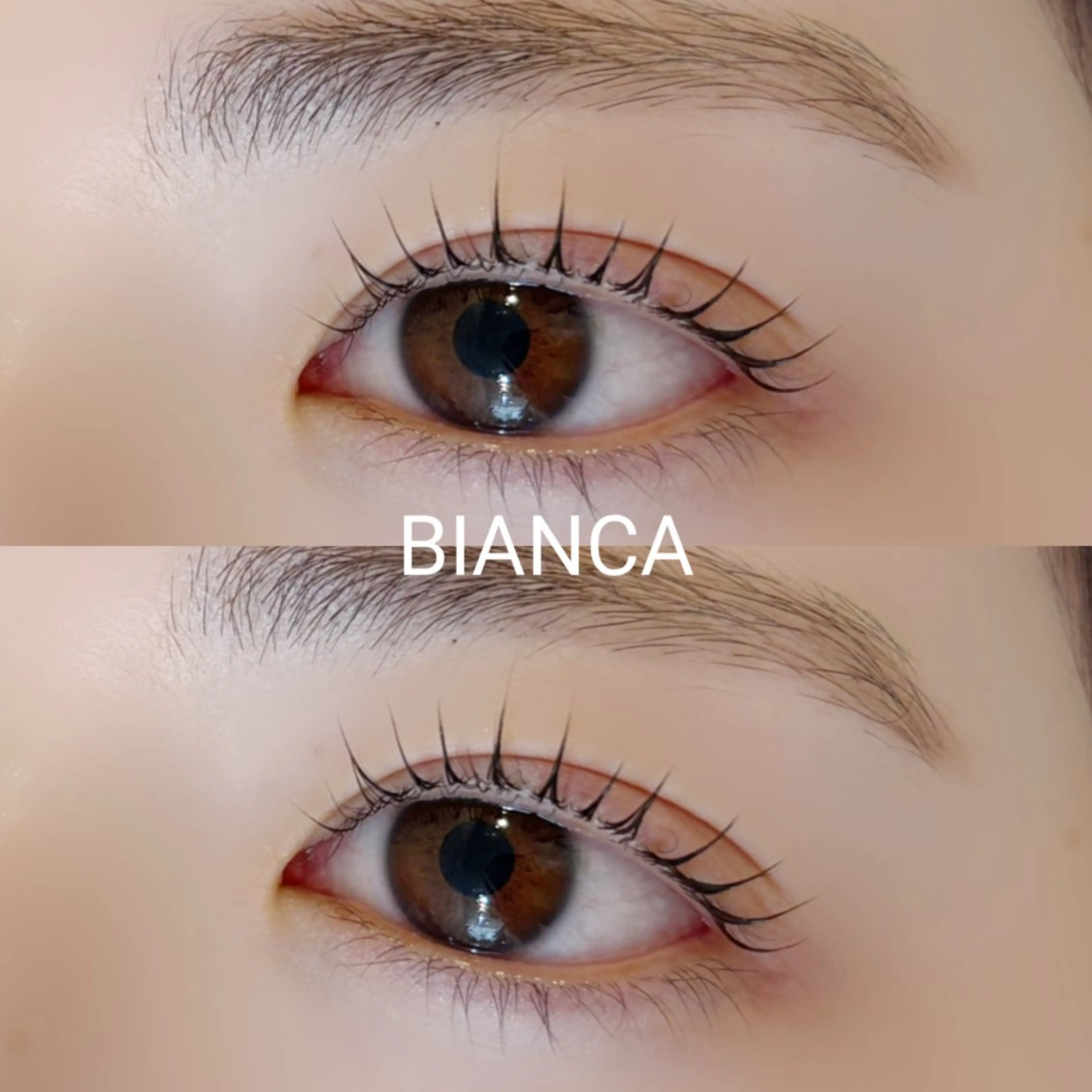 マツエク・マツパ ナチュラル マツパ Bianca 名駅店 飯田のマツエク・マツパデザイン