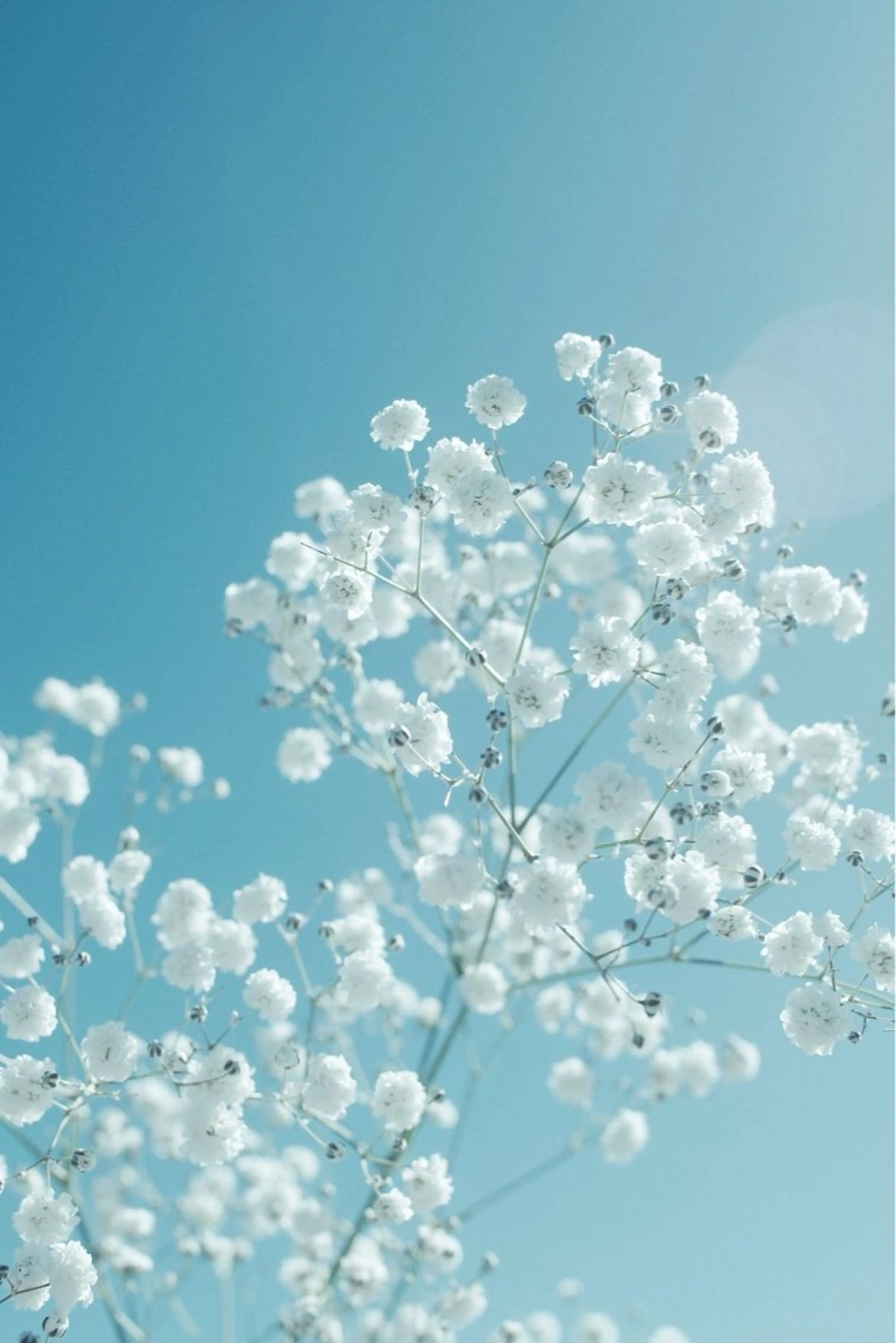 マツエク・マツパ 🌙 ａｓｕｋa 🫧のマツエク・マツパデザイン