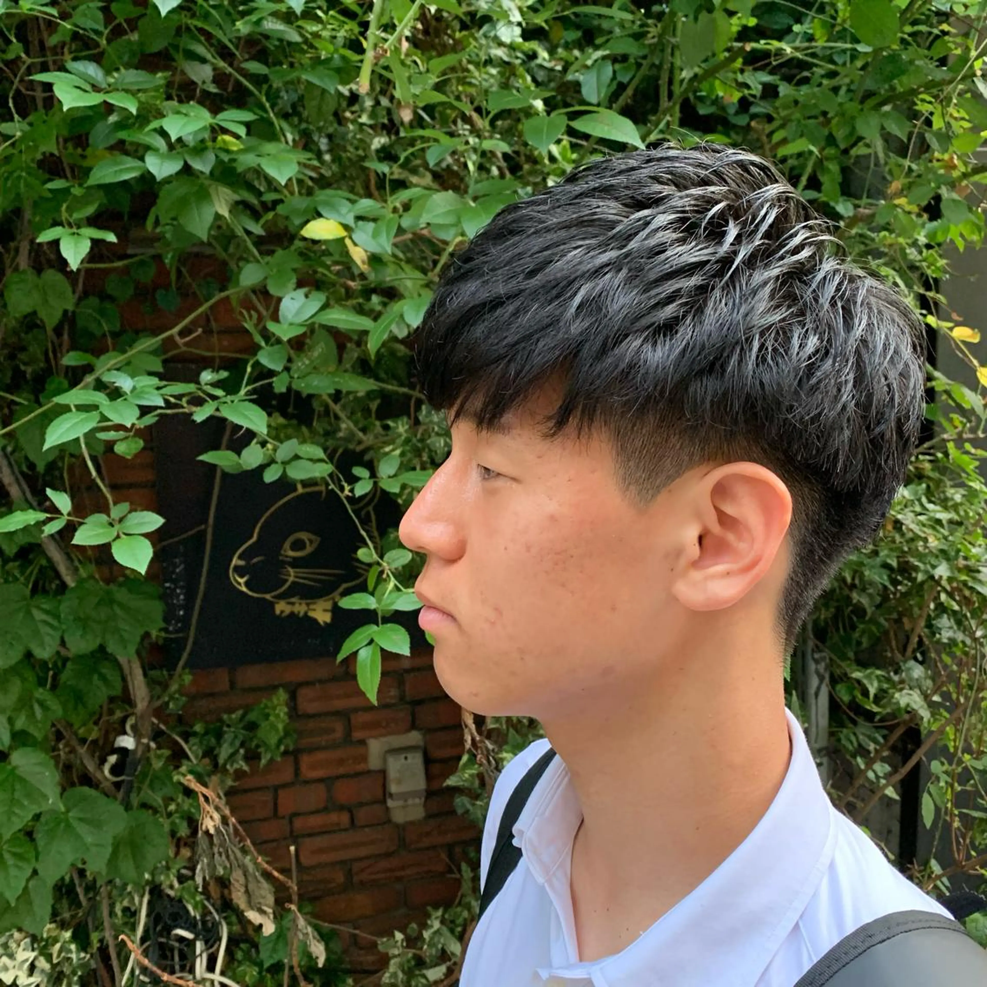 ショート メンズ マッシュ 刈り上げ カット Shouei  のヘアスタイル