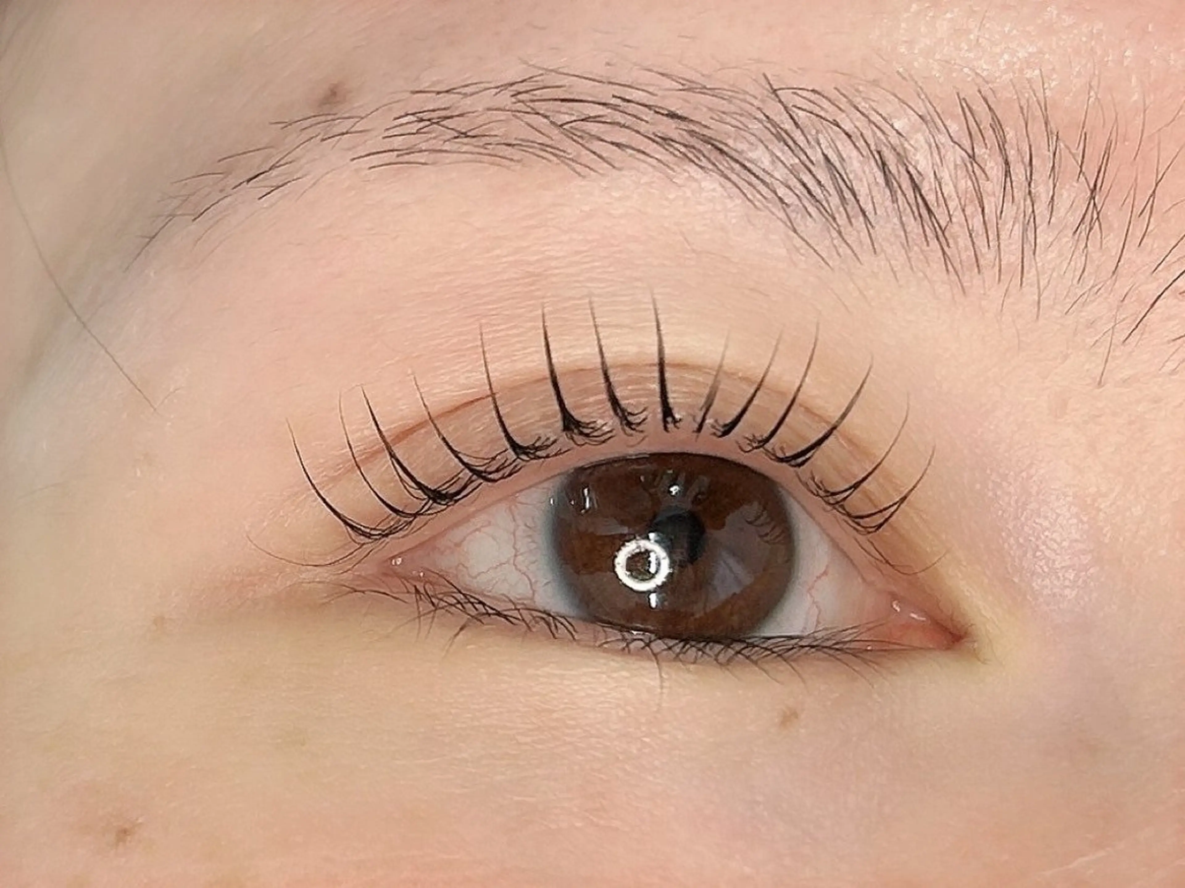 マツエク・マツパ マツパ ❣️高田馬場人気❣️ アイブロウワックスの眉毛・アイブロウイメージ