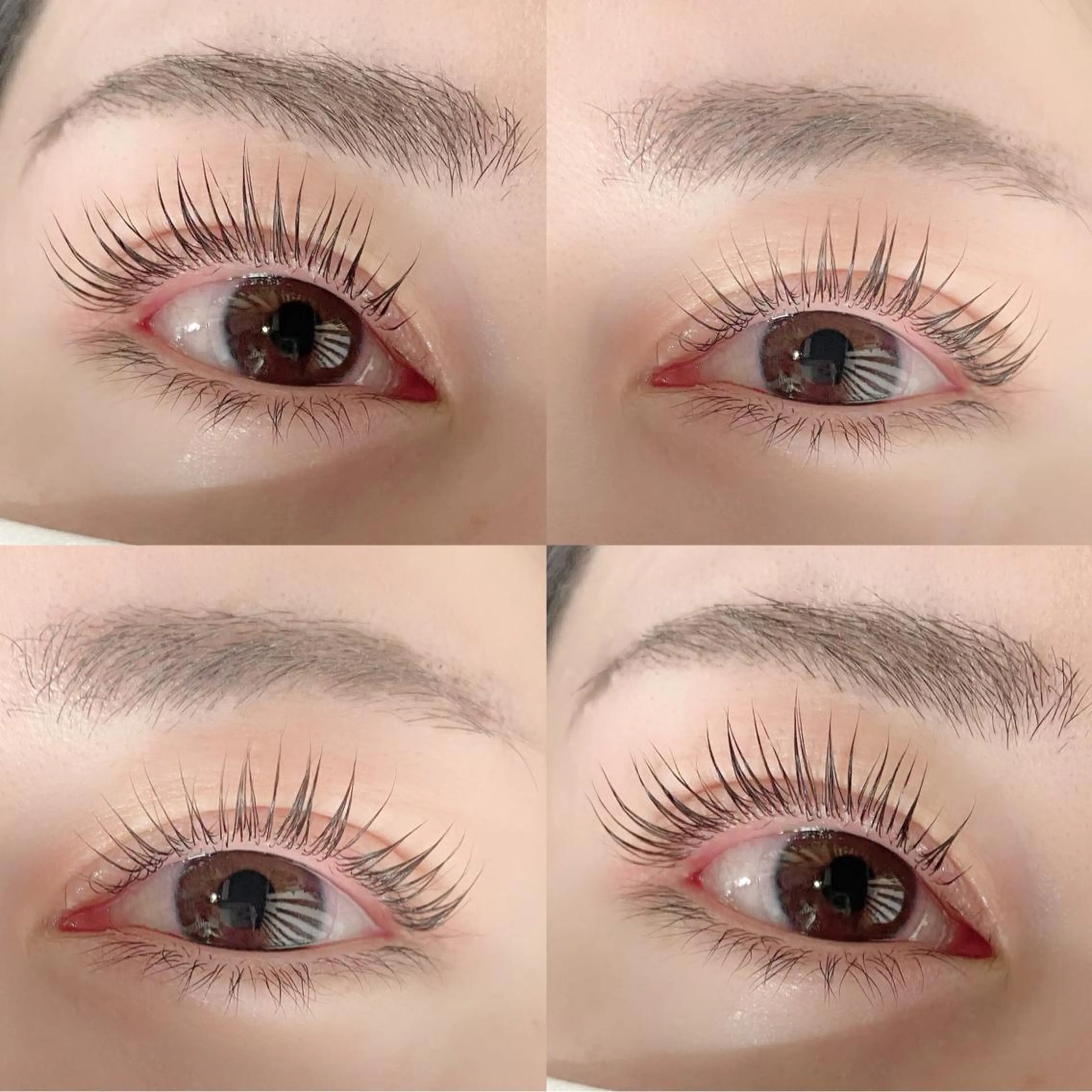 次世代まつげパーマ👀【パリジェンヌラッシュリフト🩰】オフ無料の写真