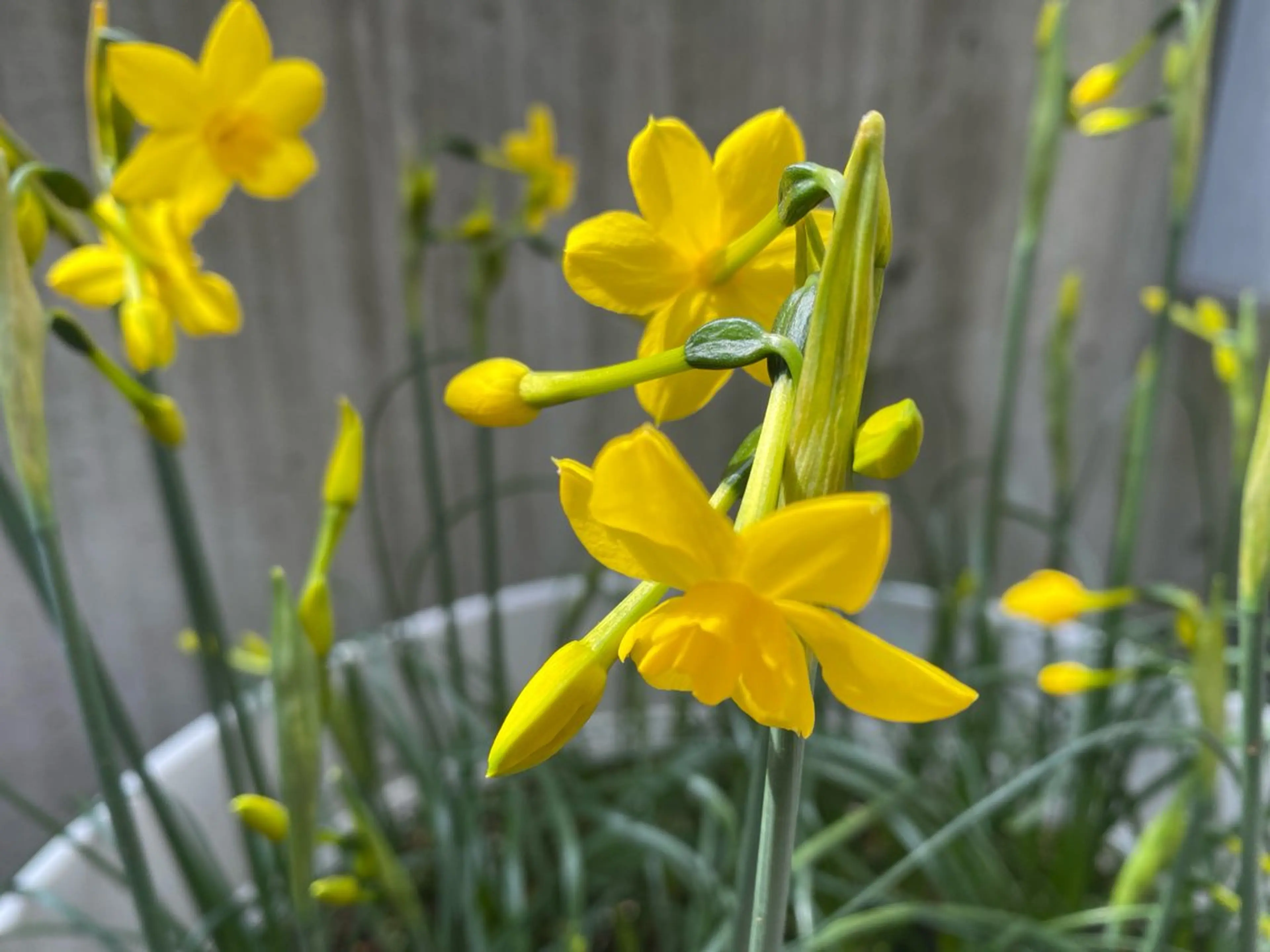 毛穴から始める肌メン テマンダリンオレンジのエステ・リラクイメージ