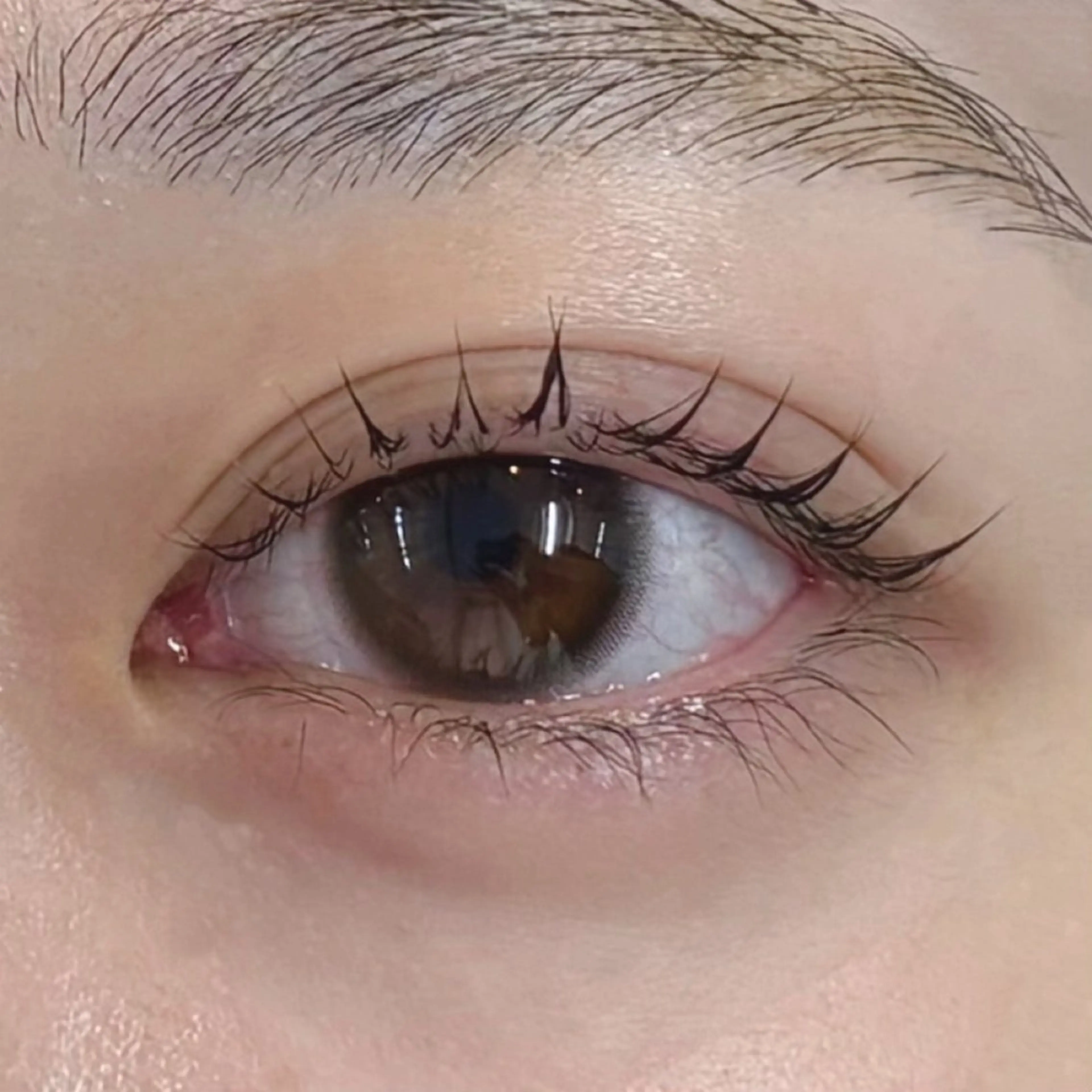 【4⃣月限定！🎶】🫧まつ毛パーマ🫧の写真