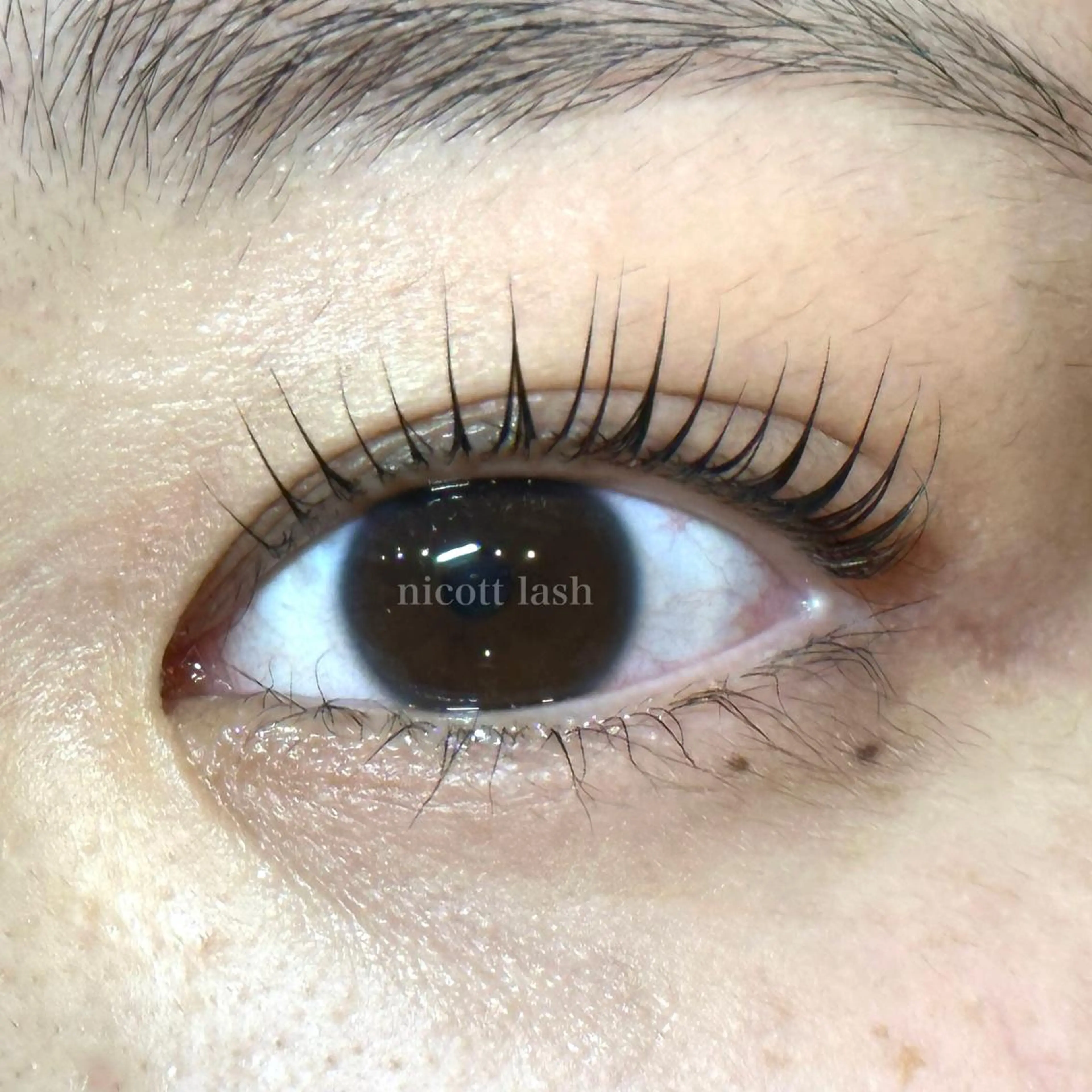 マツエク・マツパ nicott 篠田のマツエク・マツパデザイン