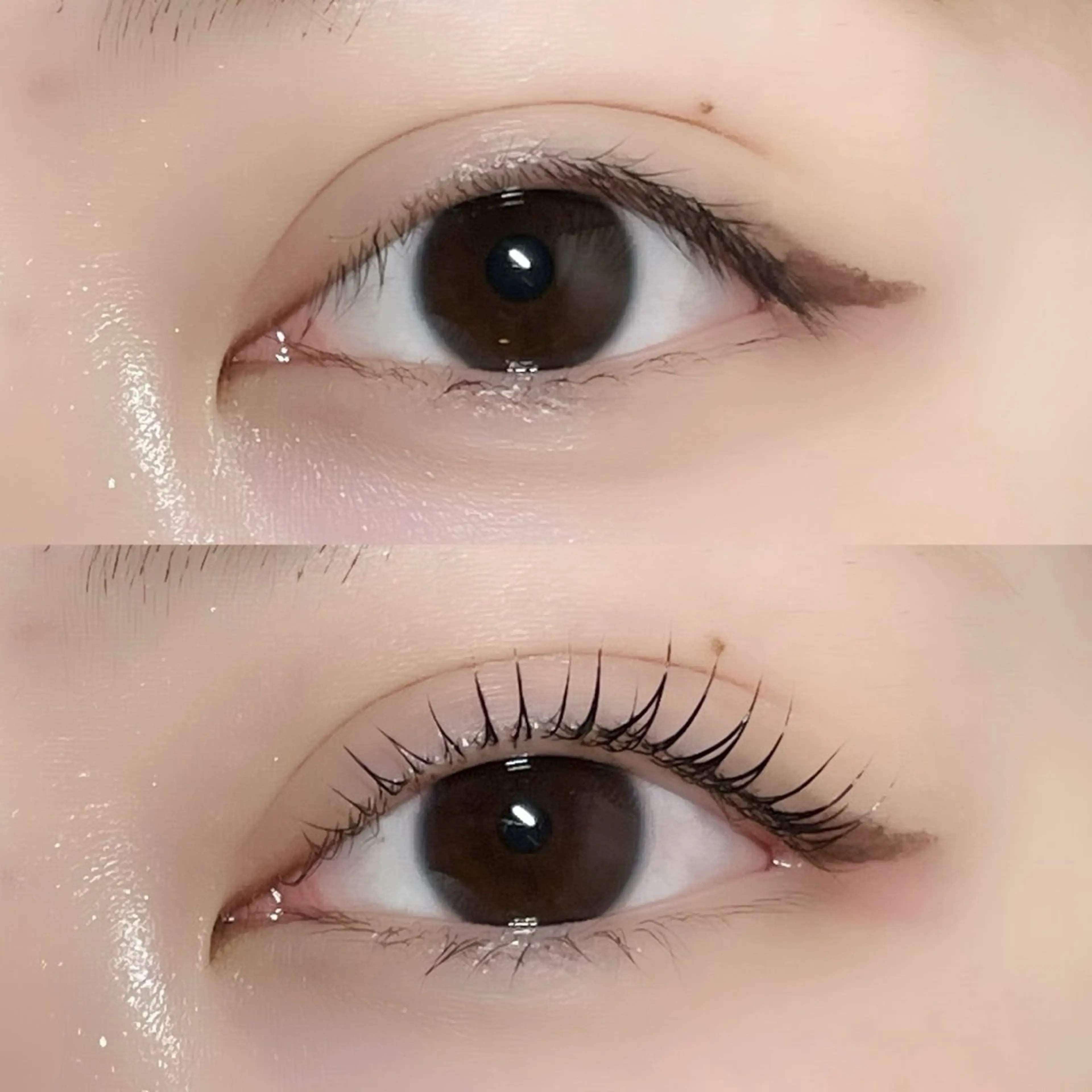 マツエク・マツパ 一重×まつ毛パーマ col SAEBIのマツエク・マツパデザイン