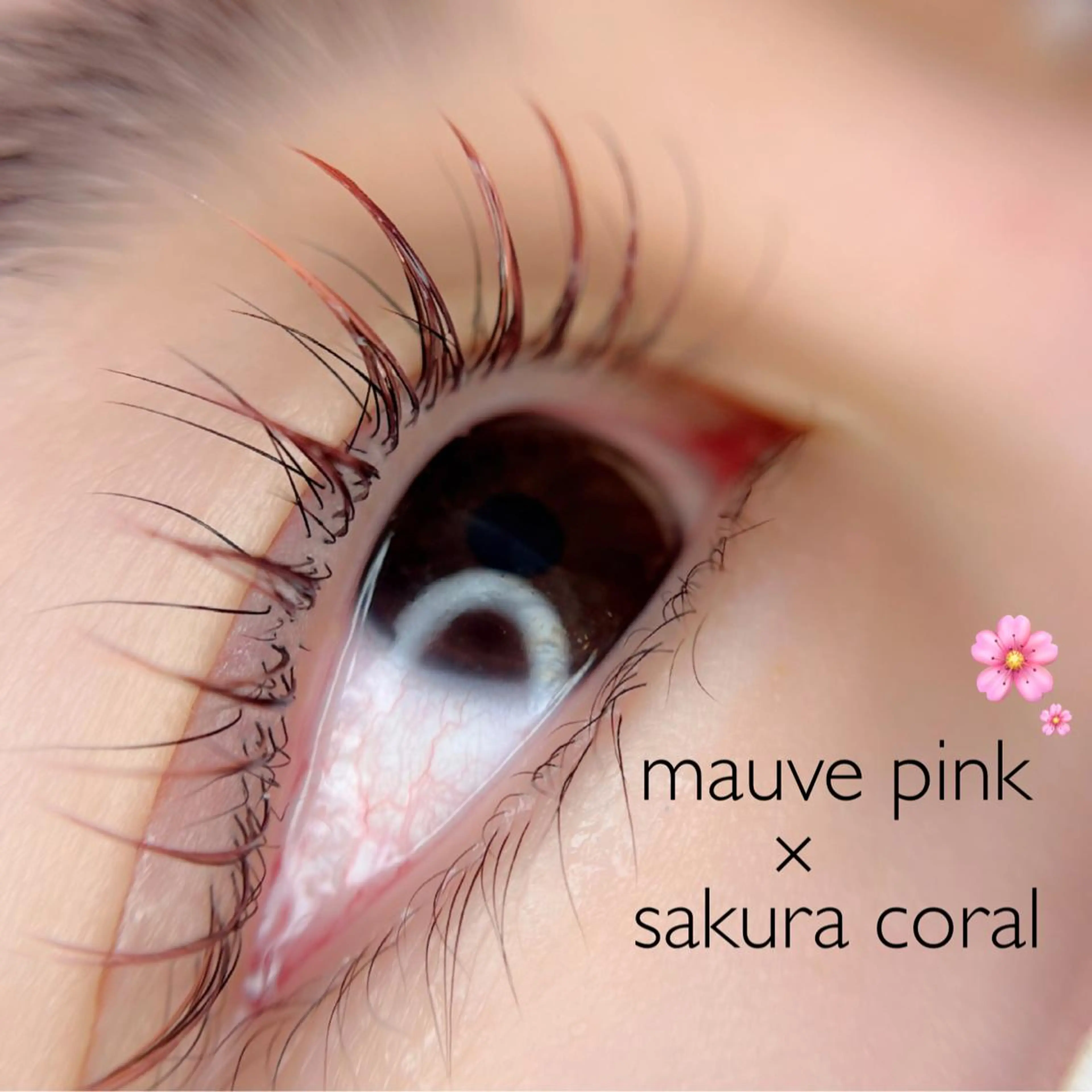 マツエク・マツパ LeCoeur古正寺 井伊彩圭のマツエク・マツパデザイン