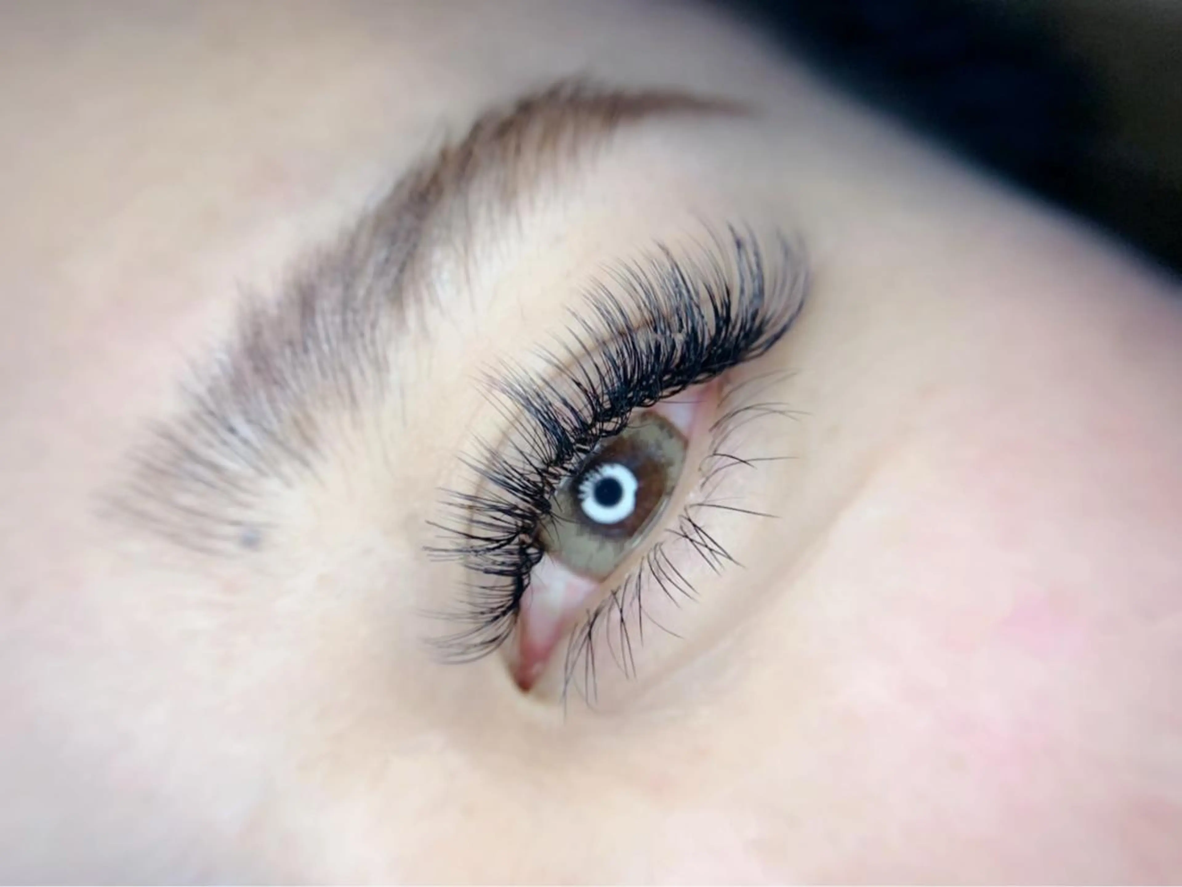 LEDボリュームラッシュ 500本　通常グルー（接着剤）に変更可能-¥500の写真