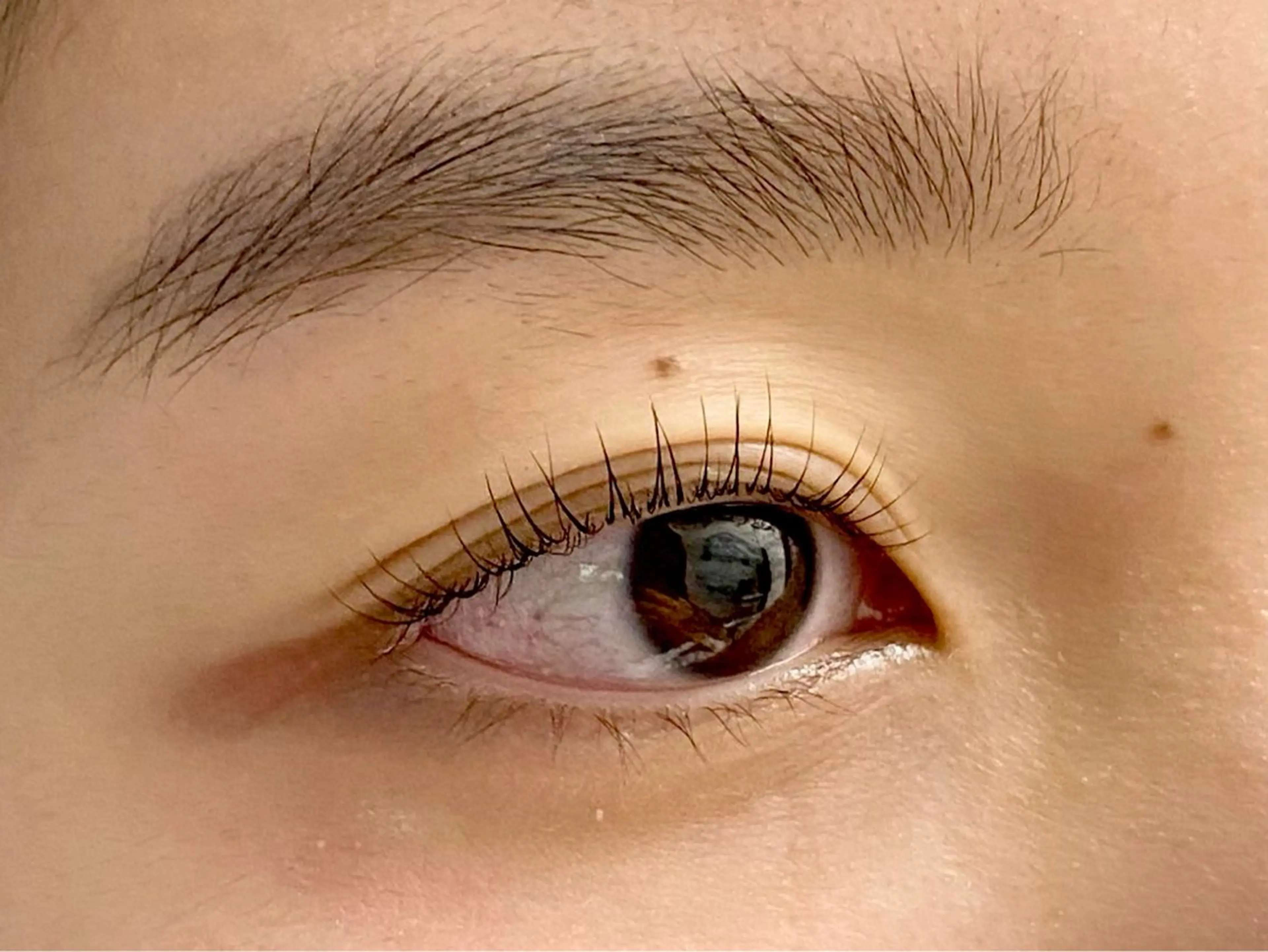 マツエク・マツパ 【メンズ眉毛サロン】 SENSE津田沼の眉毛・アイブロウイメージ