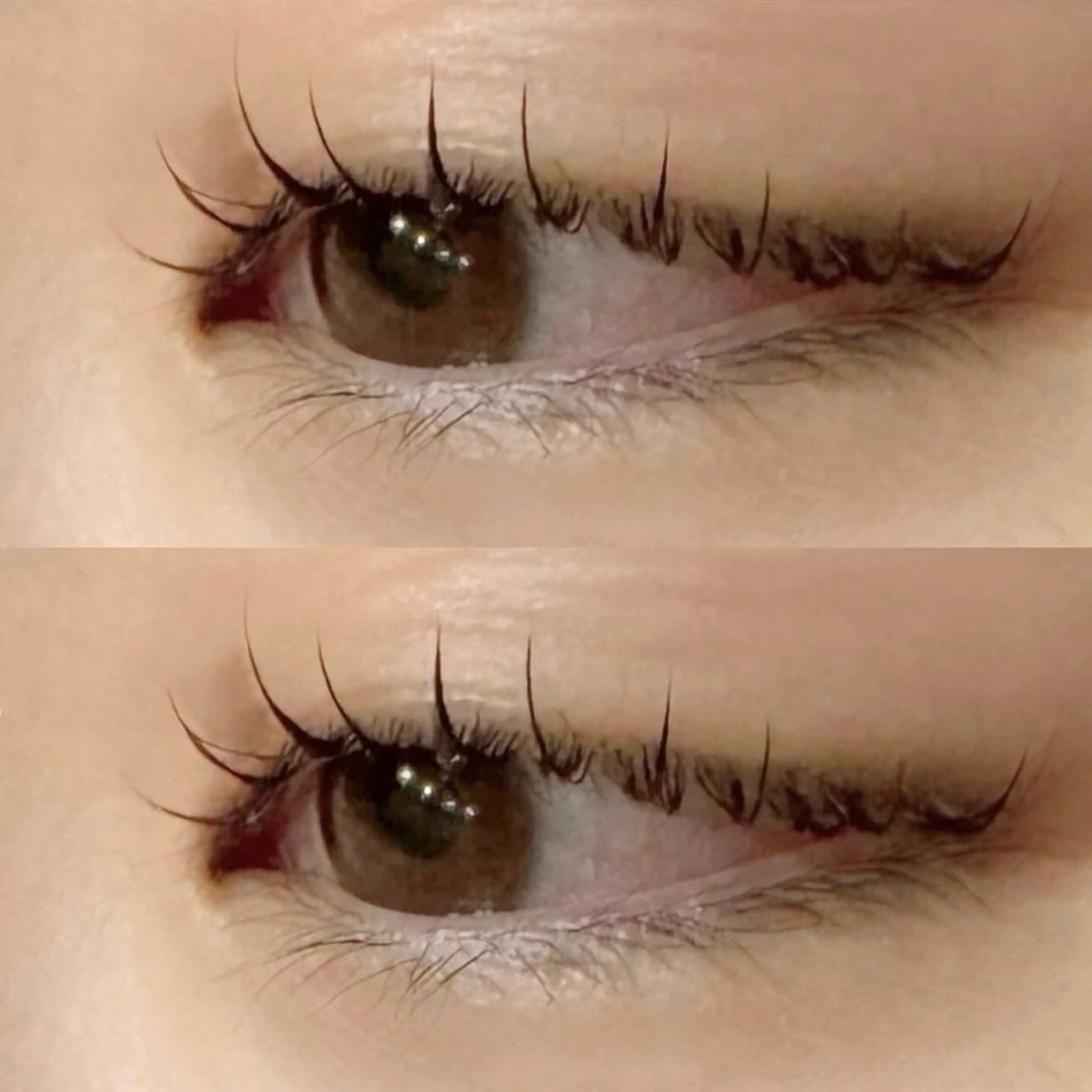 マツエク・マツパ Cカール ナチュラル 一重×まつ毛パーマ meme.所属・米子店 meme.のマツエク・マツパデザイン