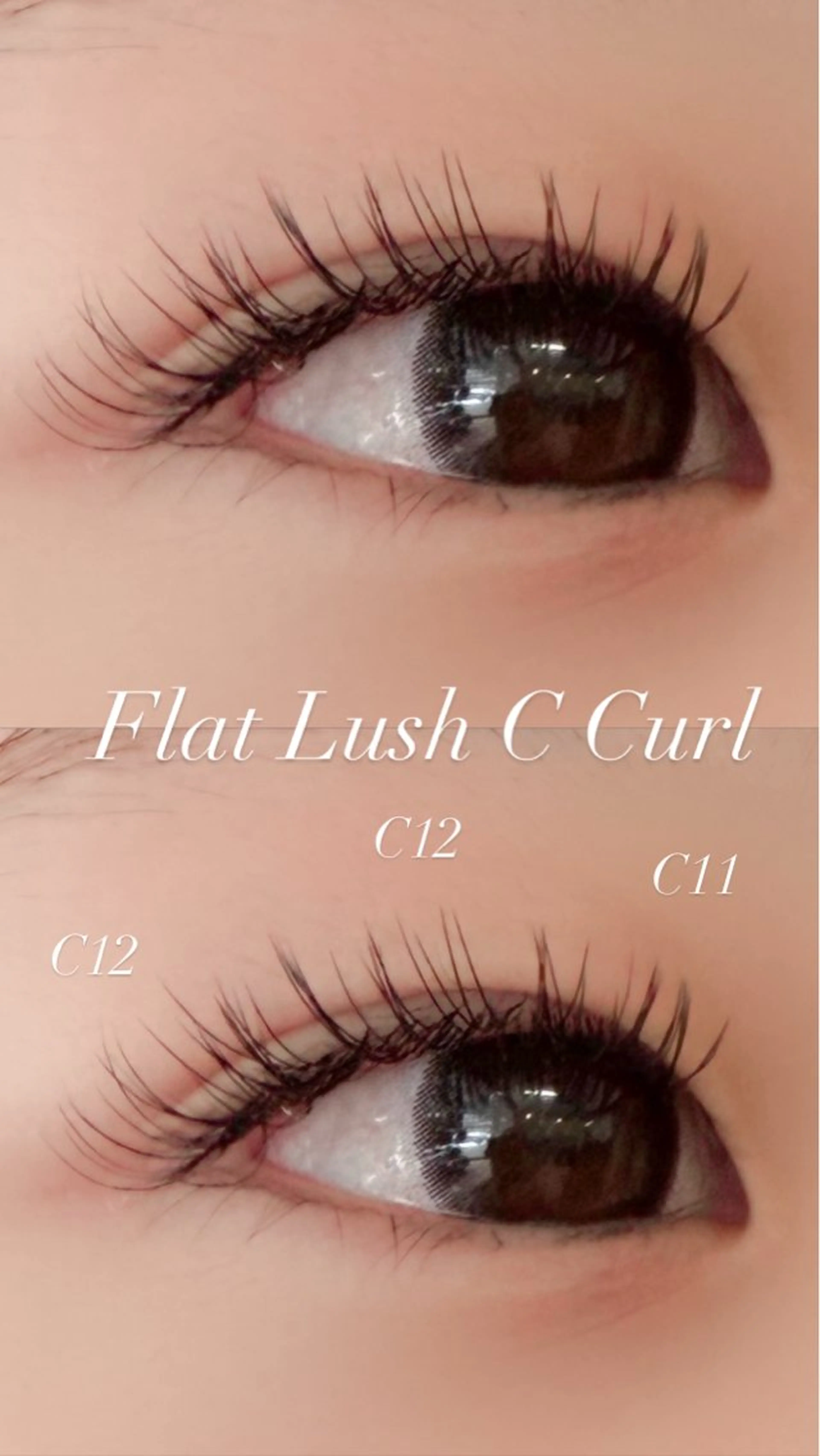 マツエク・マツパ マツエク Tripod しおんのマツエク・マツパデザイン