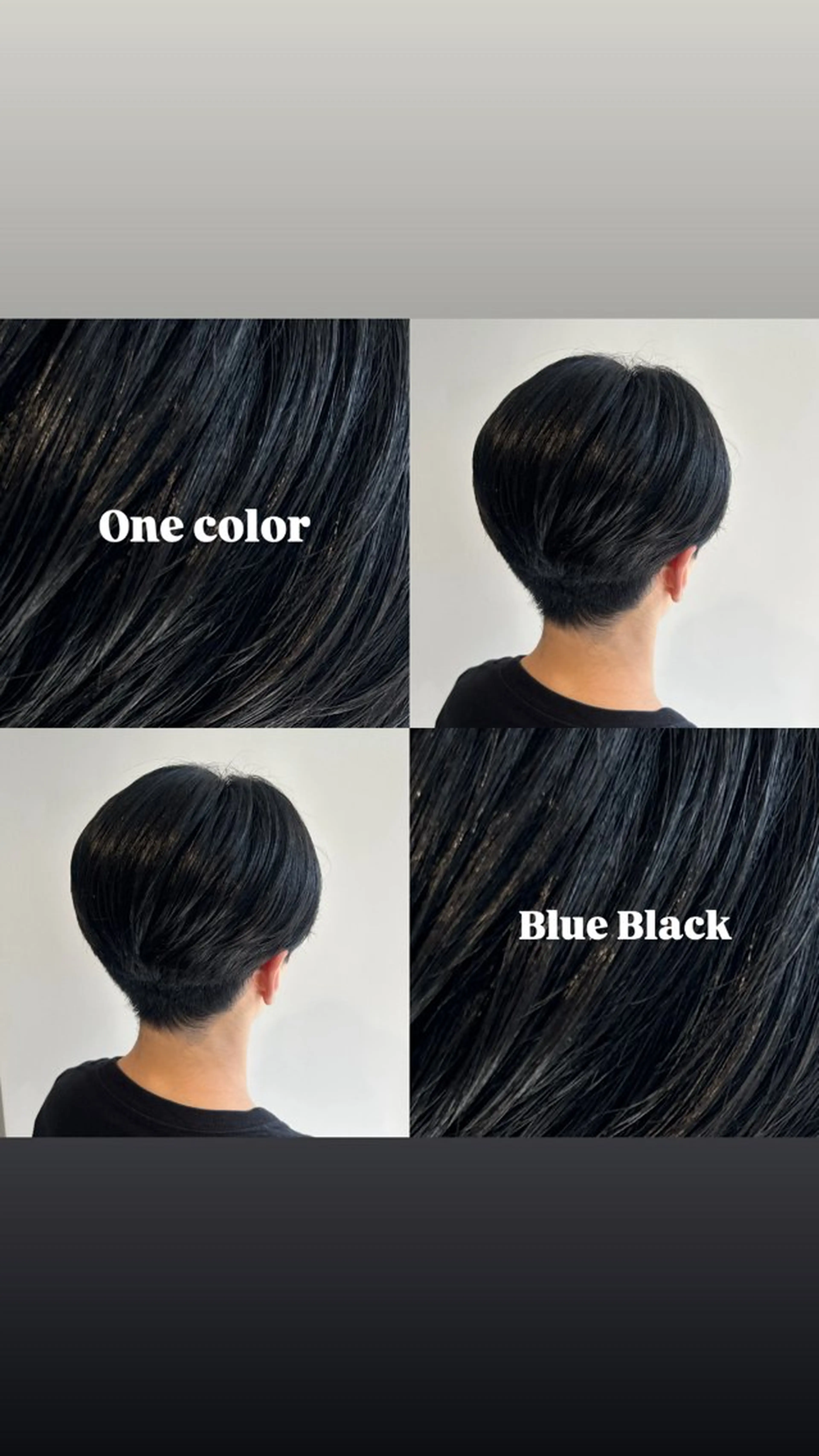 カラー 黒髪 ブルーカラー ブルーブラック 透明感カラー White stone 今村光希のヘアスタイル