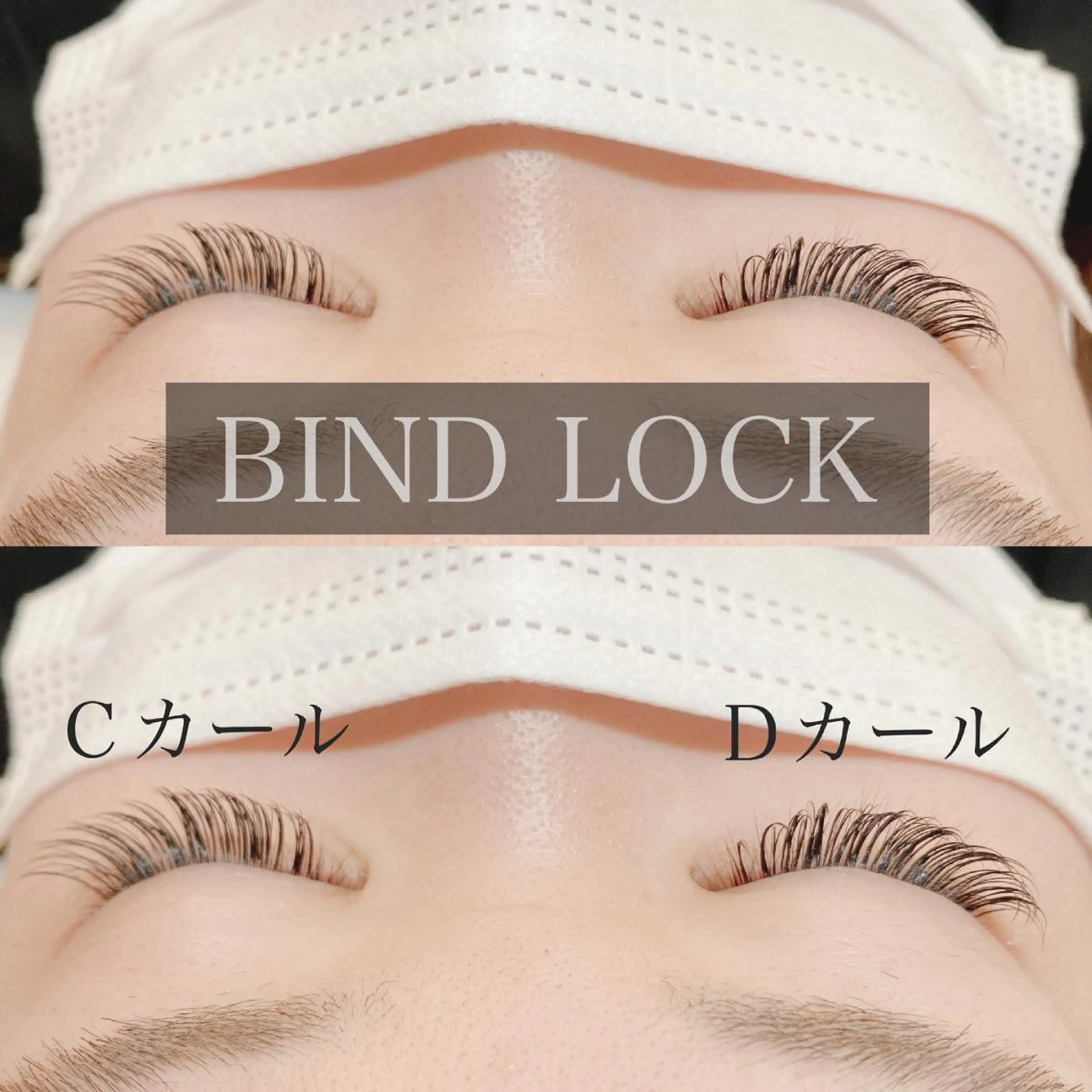 バインドロック 120束 コーティング付【3回目までクーポン使用可能】の写真