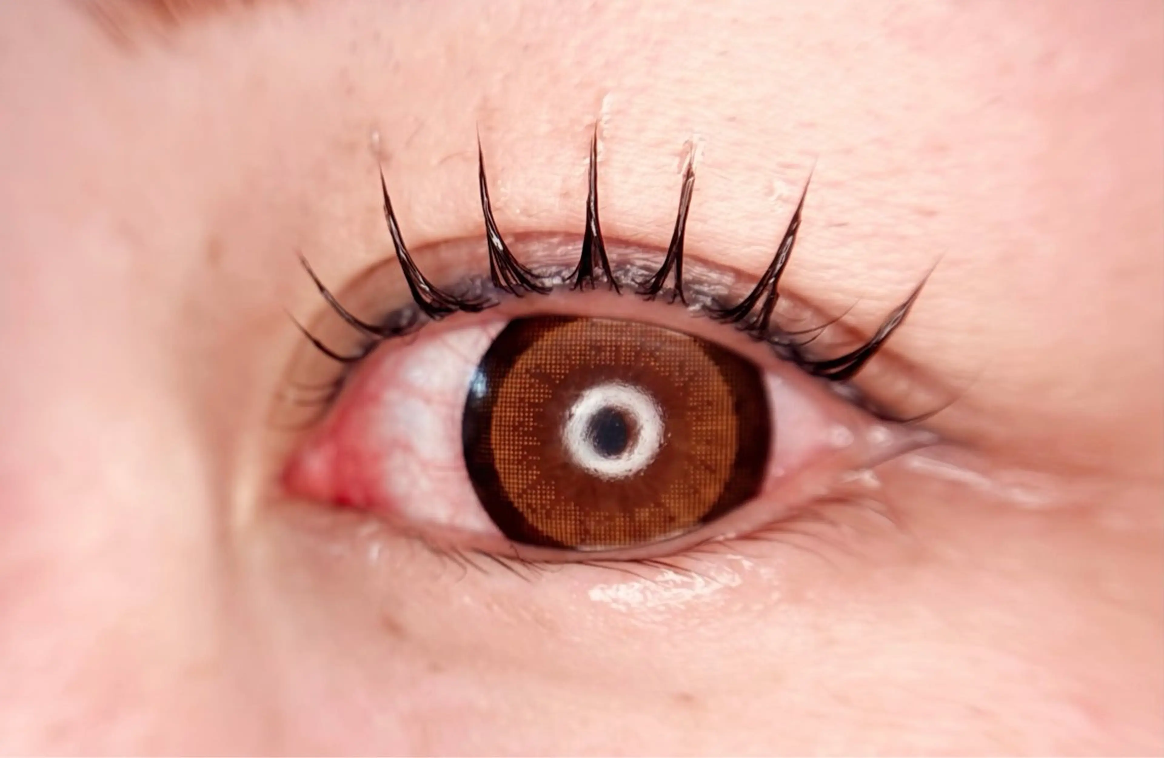 マツエク・マツパ パリジェンヌラッシュリフト Lash Lift ＷAＶＥ所属・Lash Lift WAVE🩵の眉毛・アイブロウイメージ