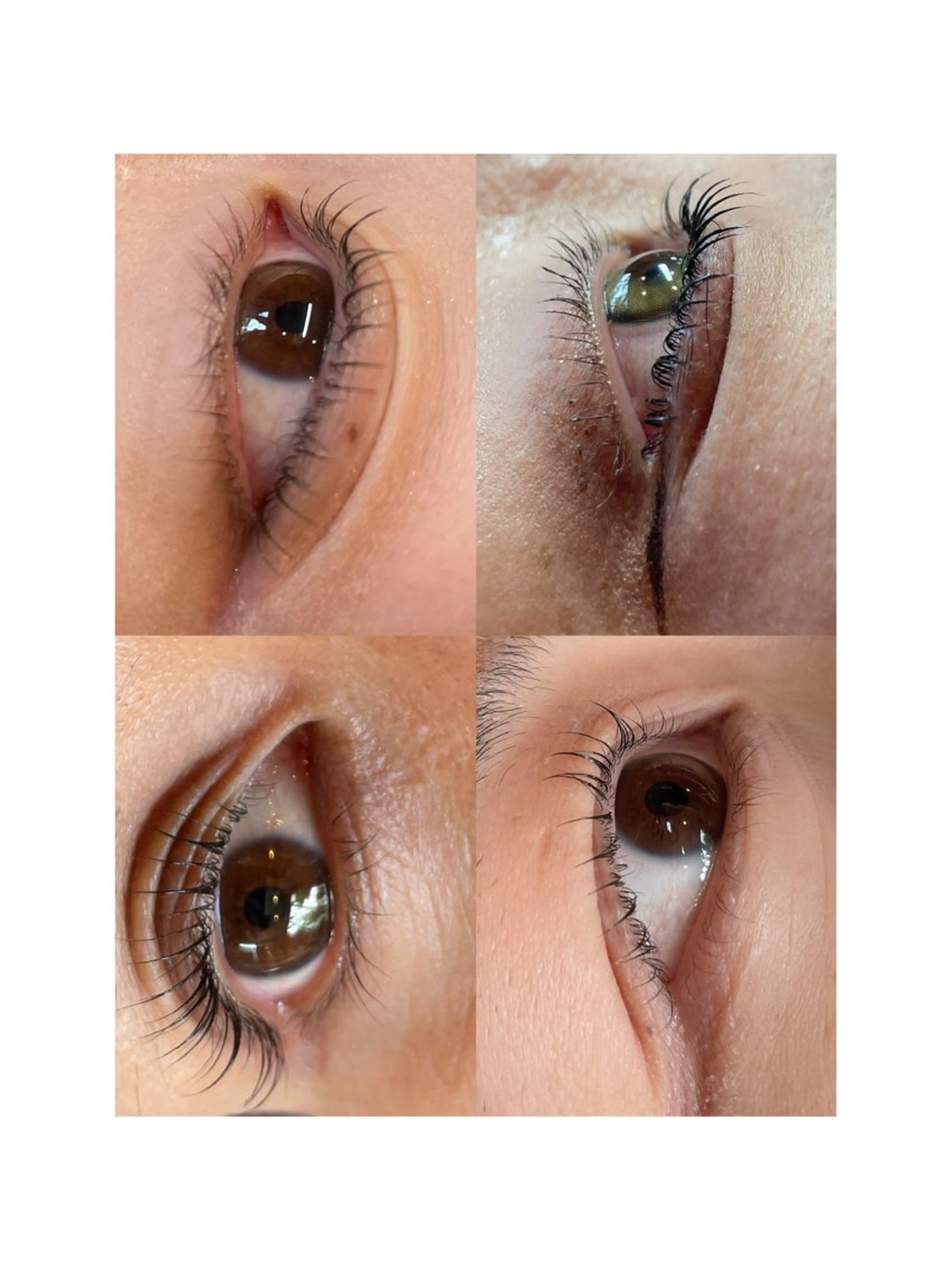 マツエク・マツパ cielo natsukiのマツエク・マツパデザイン