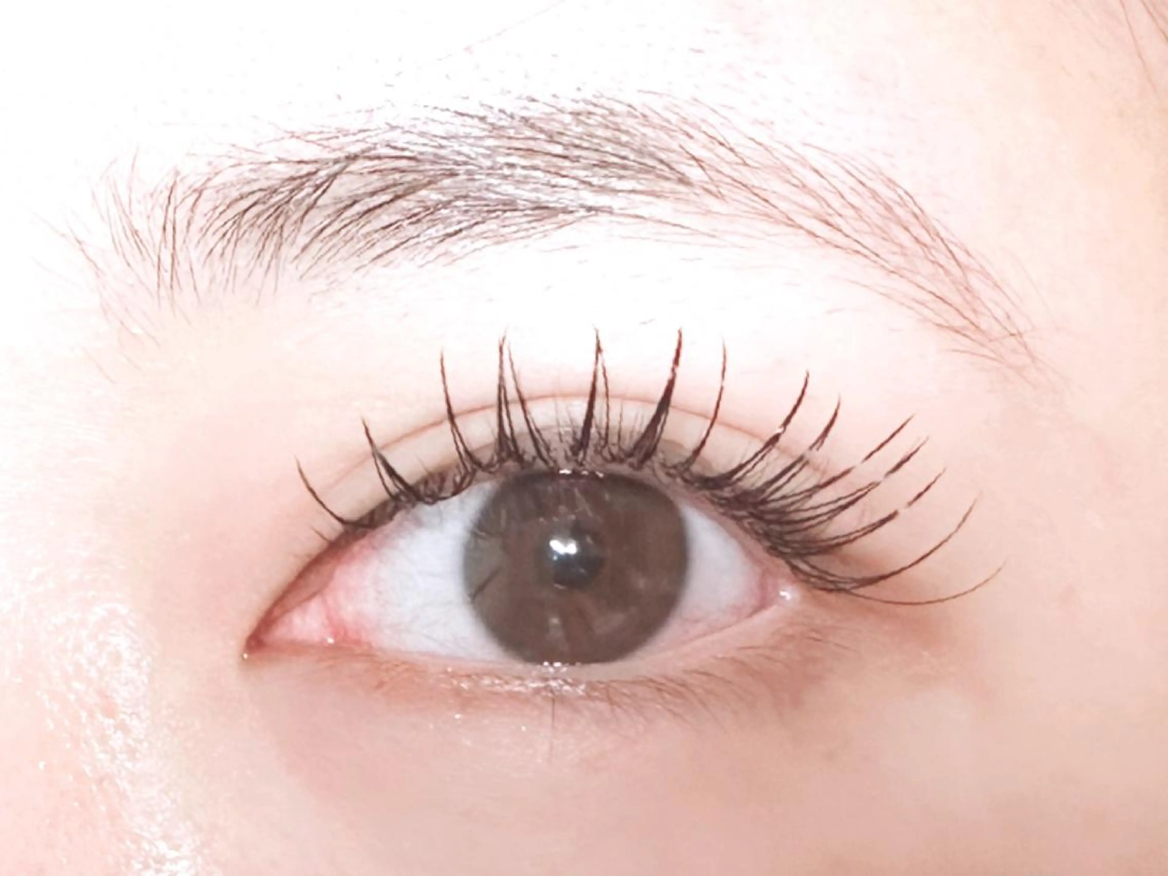 大人気✨パリエク(パリジェンヌ×エクステ80〜100本)2回目以降+1500円の写真