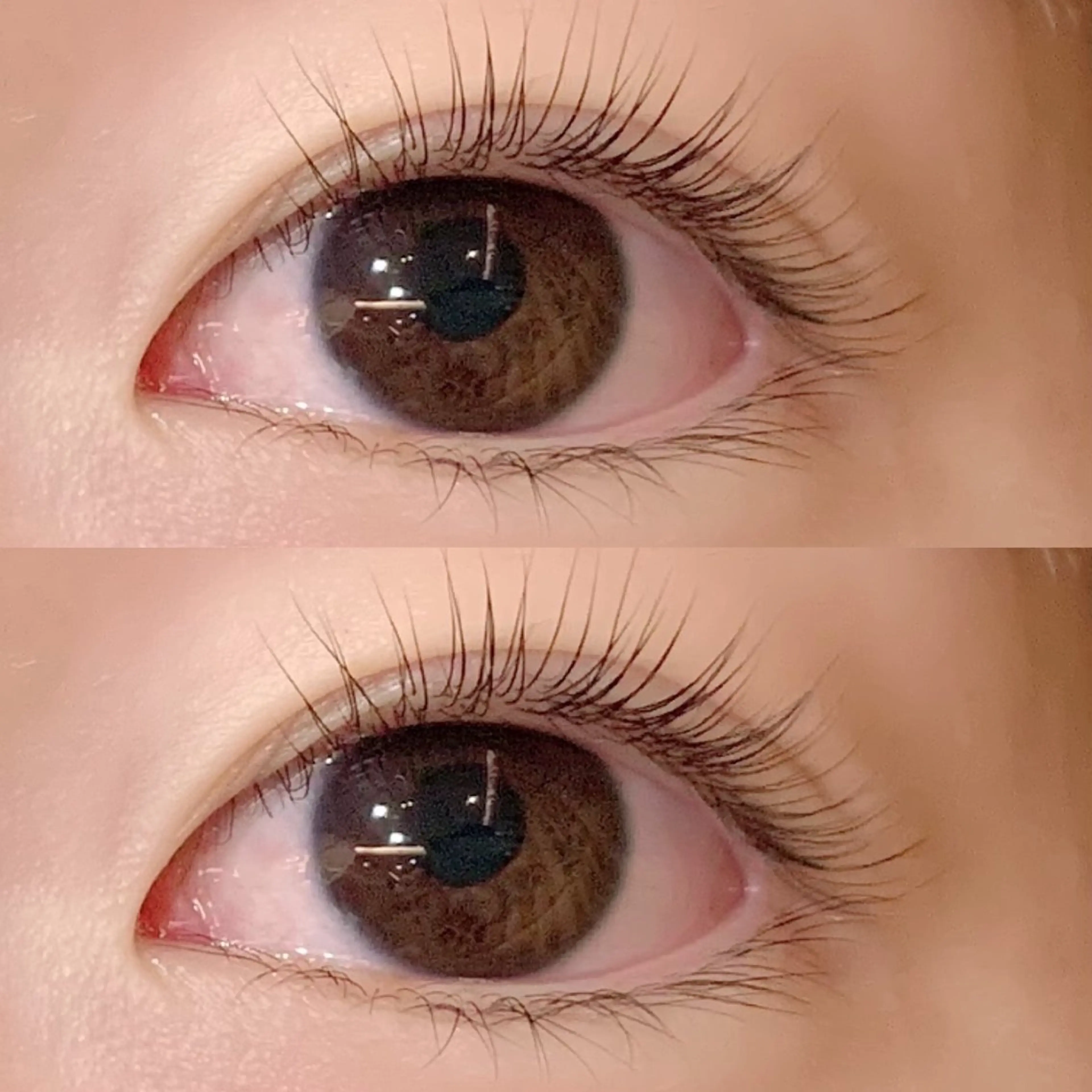 (初回限定)次世代まつげパーマ✨パリジェンヌラッシュリフトの写真