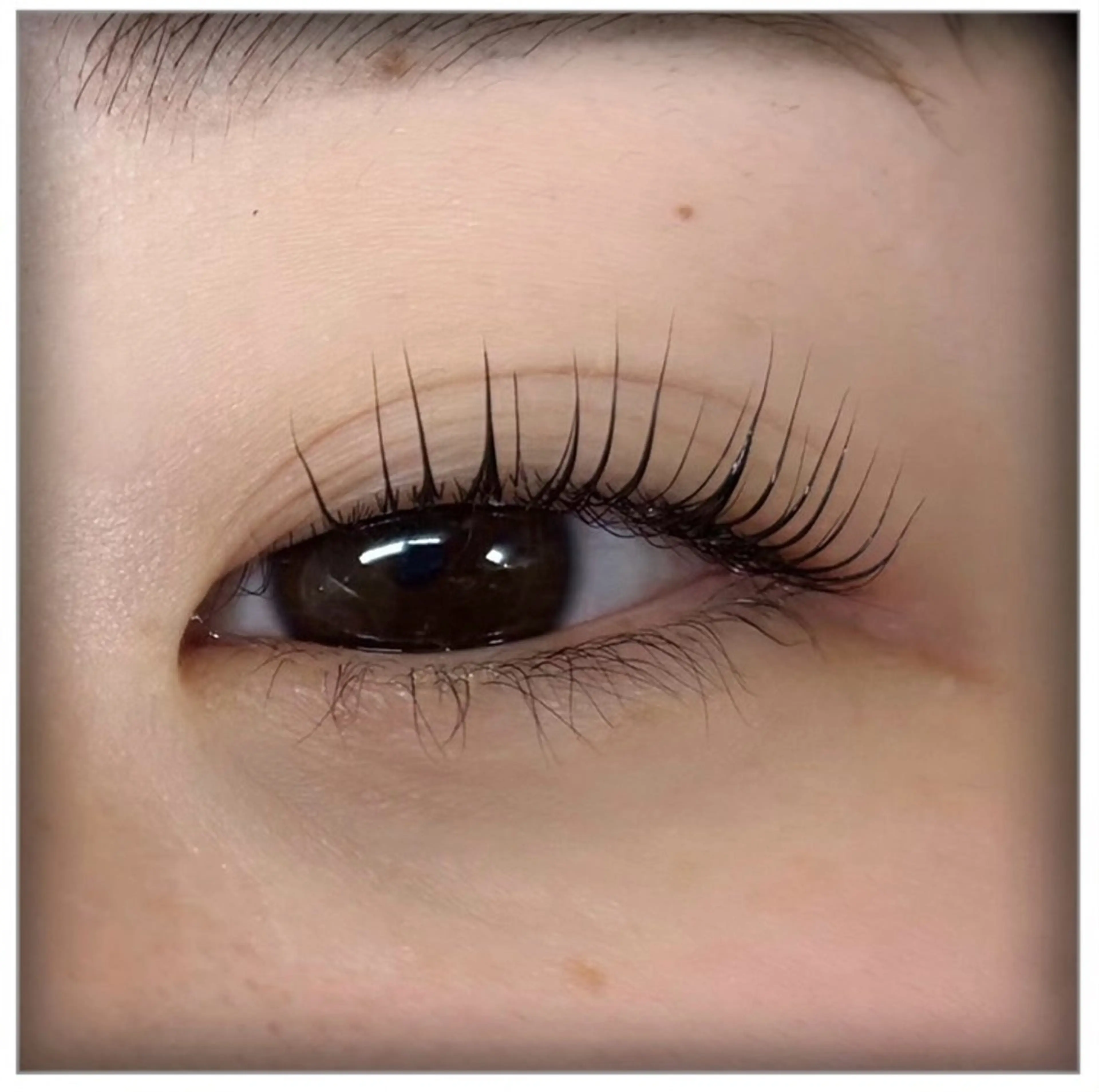 マツエク・マツパ Lカール KANGOL SALON／三浦のマツエク・マツパデザイン