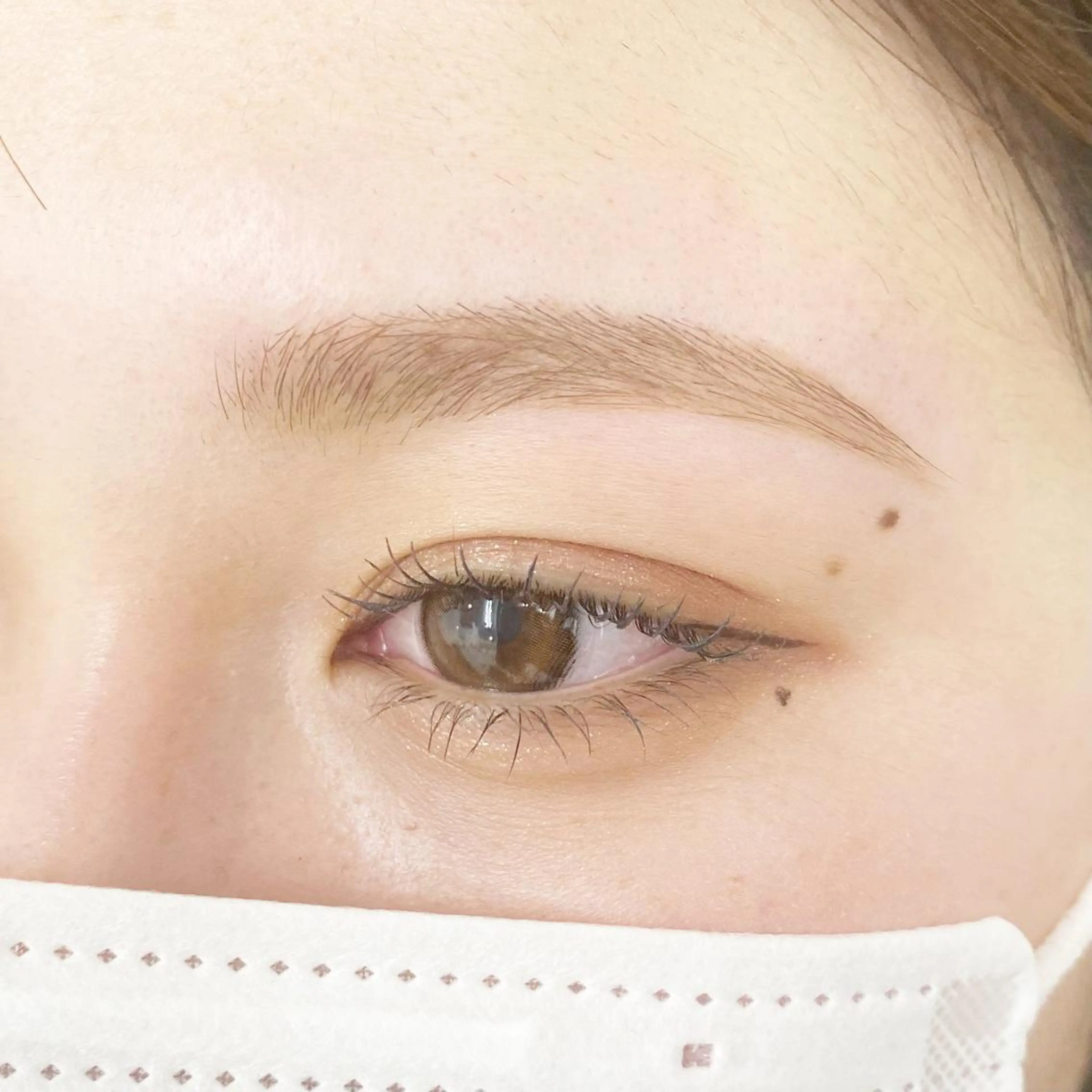 【本日1名様限定無料】ラッシュリフト🪞🍃 10〜30代で目元の撮影にご協力いただける方のみの写真