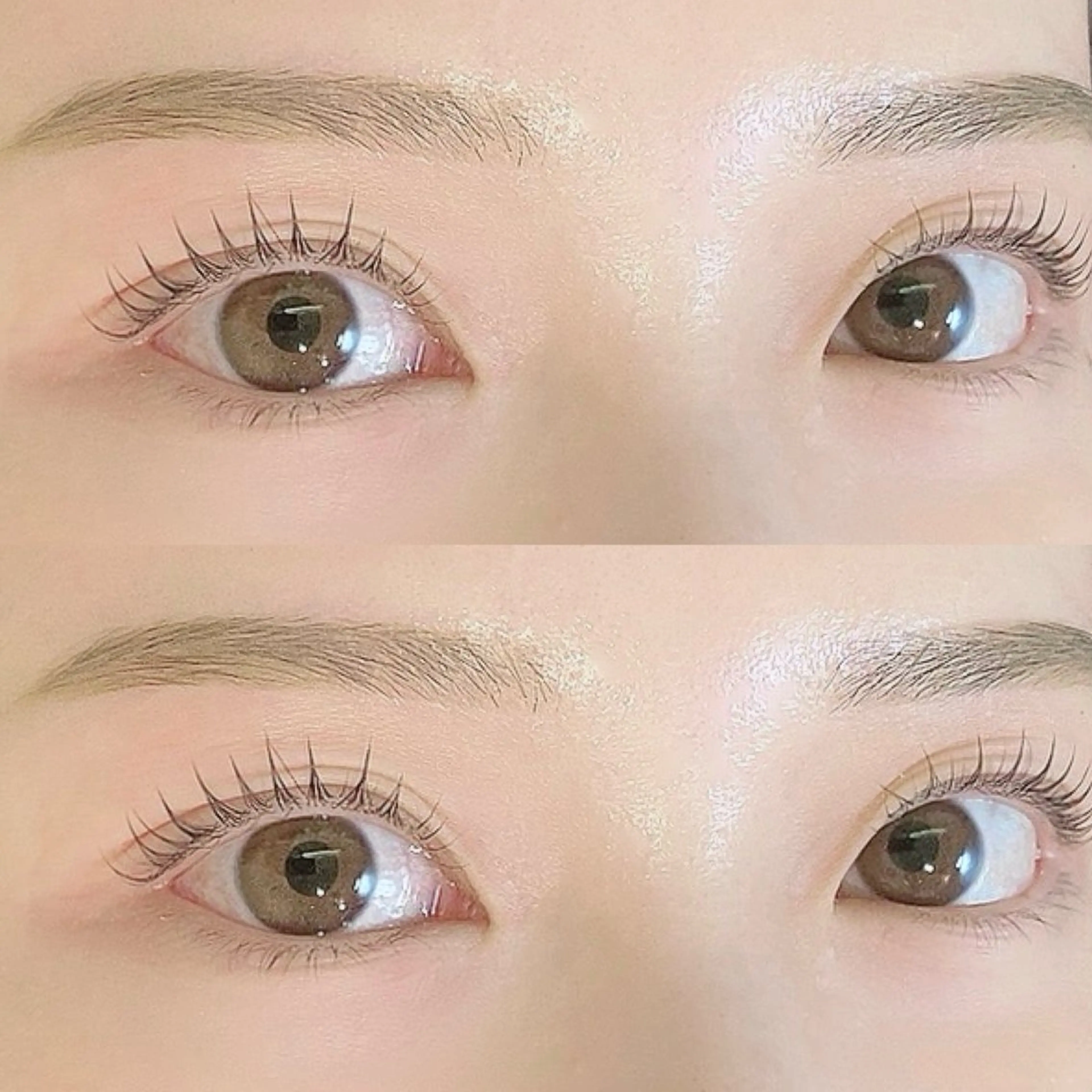 マツエク・マツパ パリジェンヌラッシュリフト CLALA Naoの眉毛・アイブロウイメージ