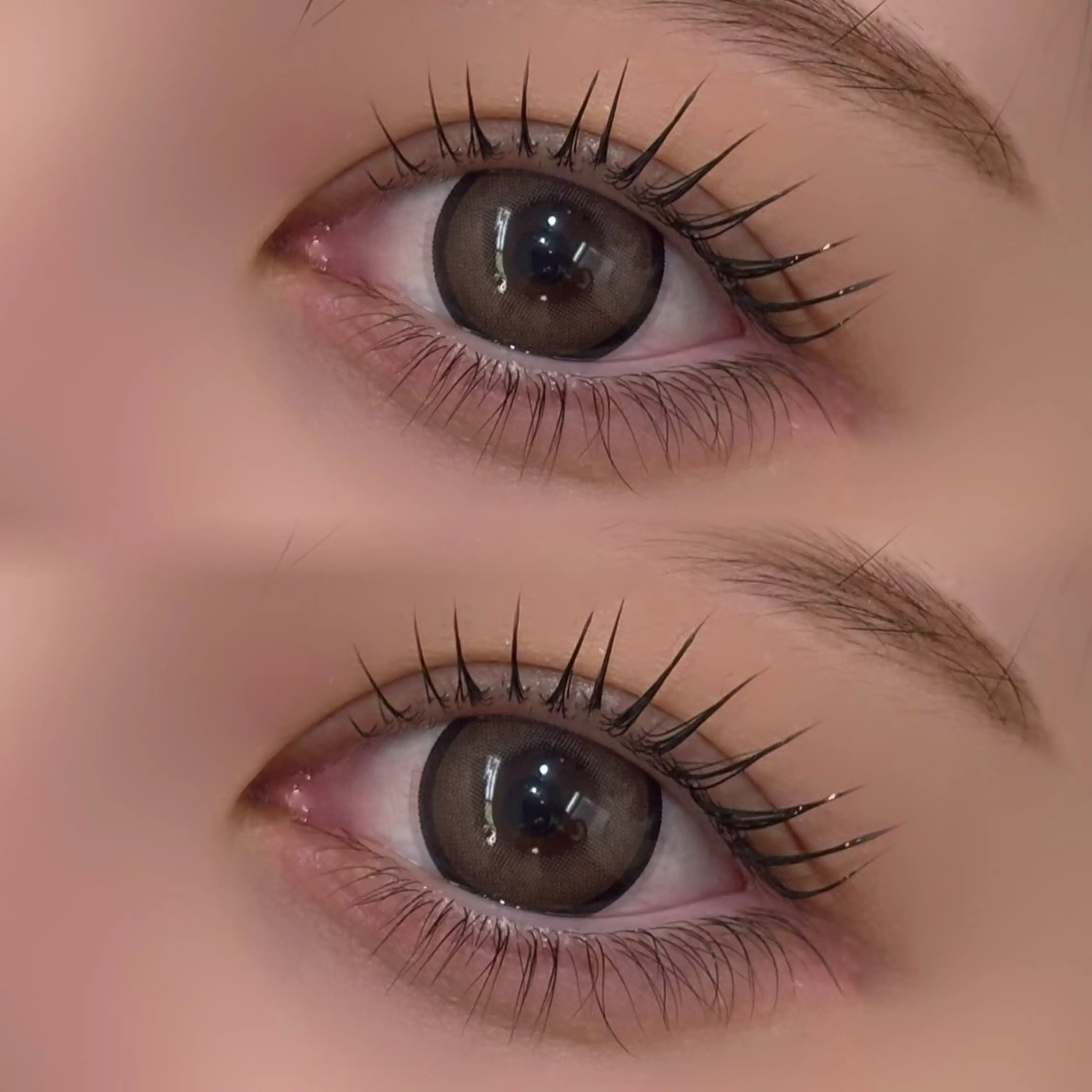 マツエク・マツパ マツパ Mila新宿 🖤ma-ya🖤のマツエク・マツパデザイン