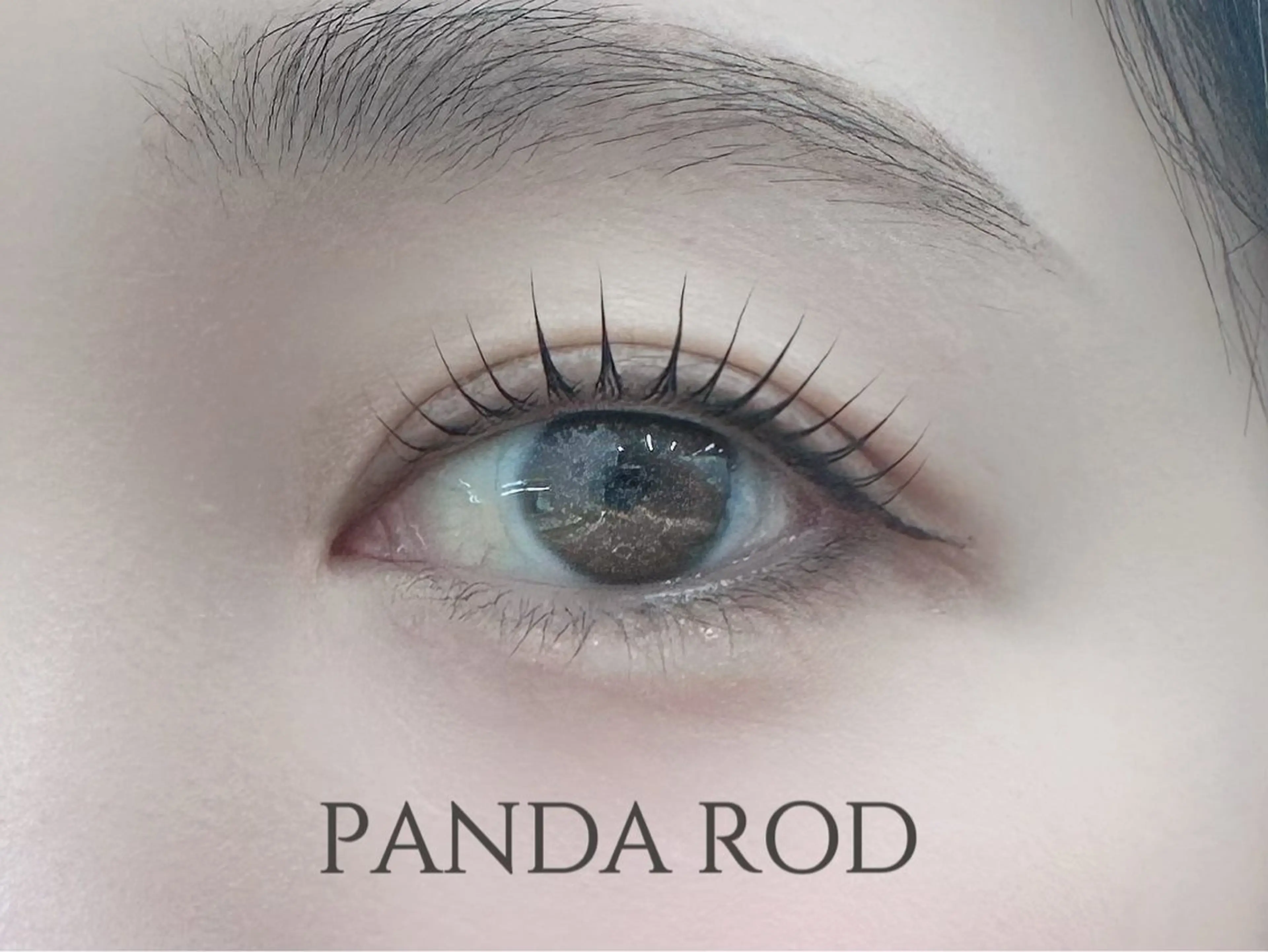 マツエク・マツパ alice tokyo🌿鈴木のマツエク・マツパデザイン