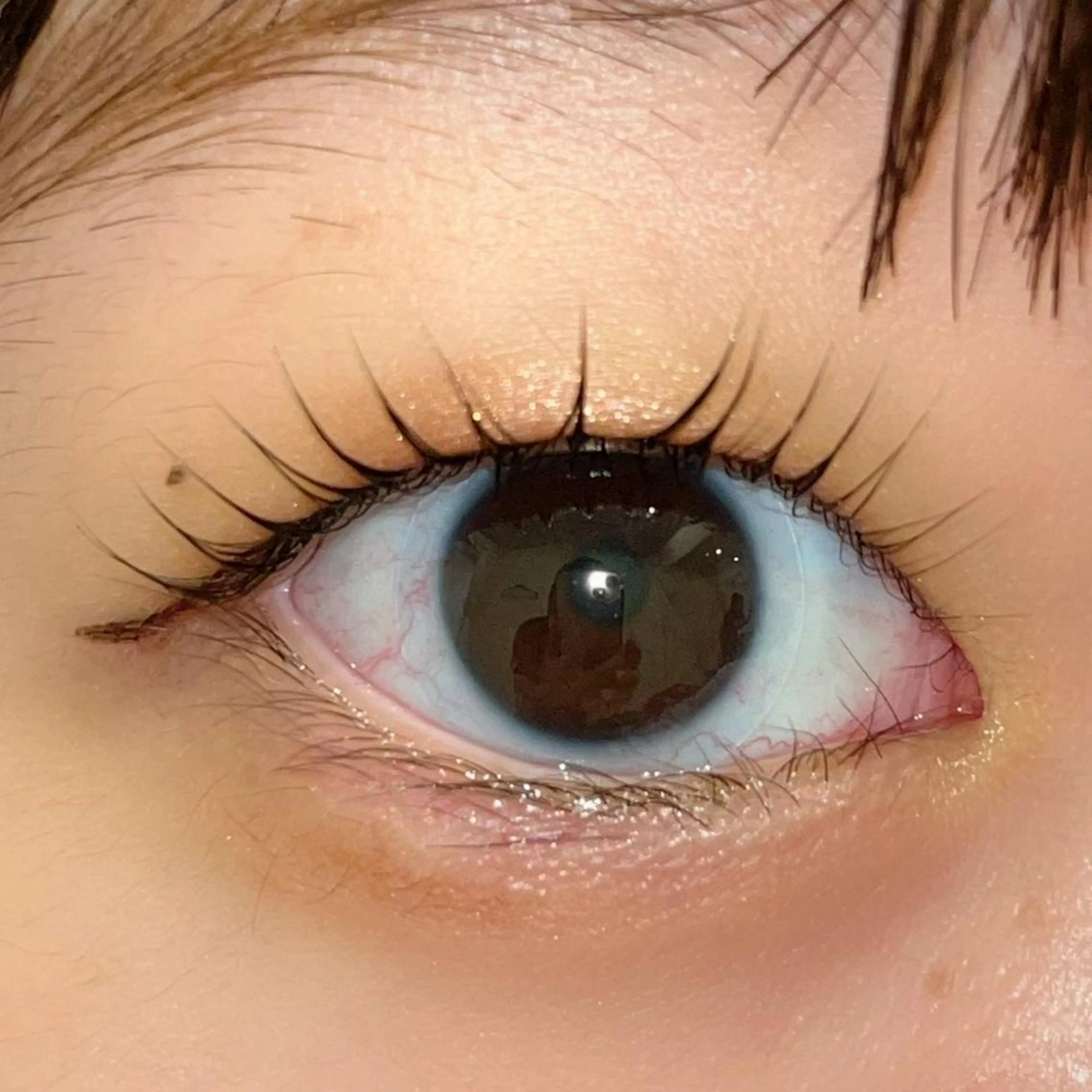 マツエク・マツパ パリジェンヌラッシュリフト まつげパーマ ai一重専門🎀束感 まつげ🫧表参道のマツエク・マツパデザイン