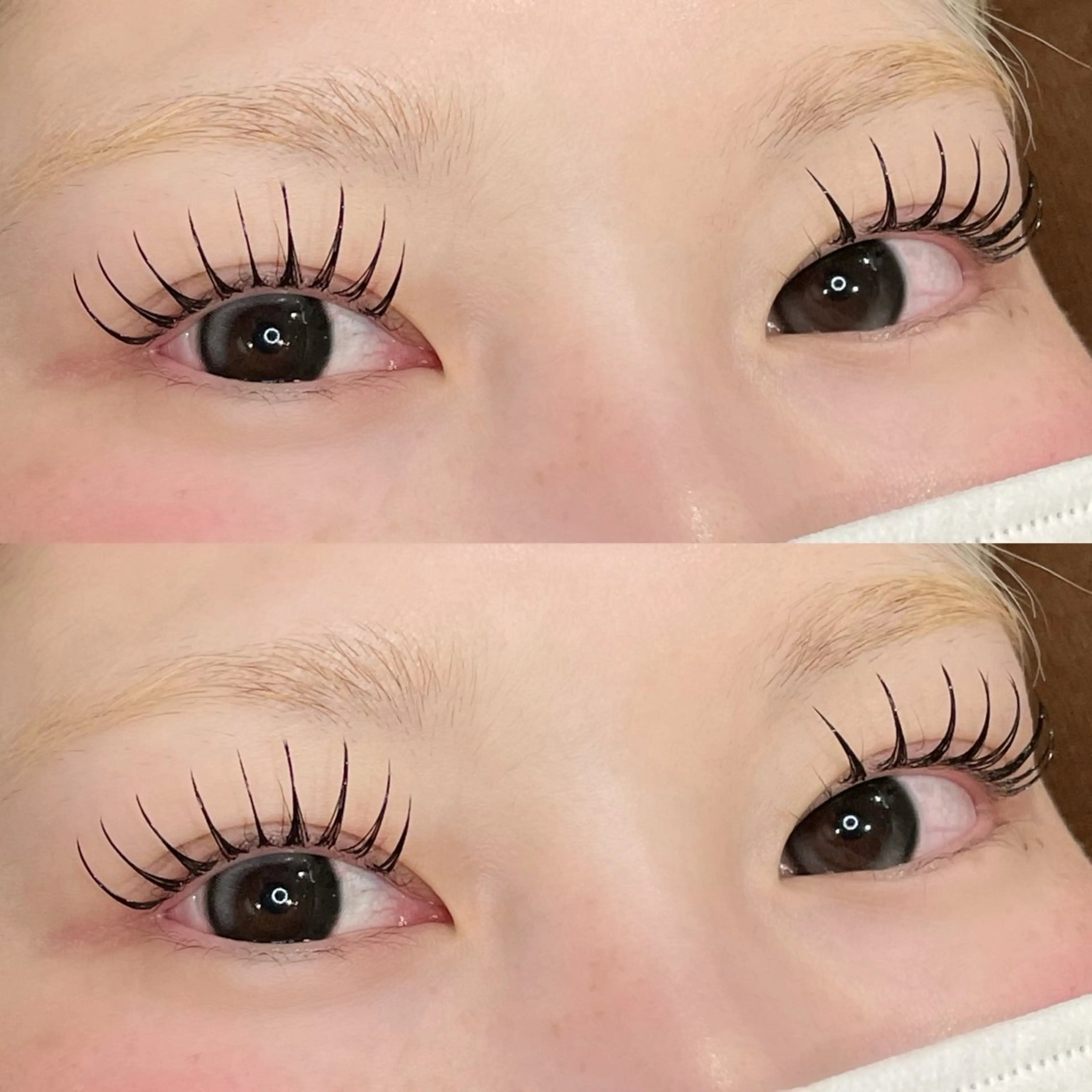 ‪- ̗̀ 新LEDパリエク 120本  ̖́- アイシャンプー&束感コーティング付 ¥8,000の写真