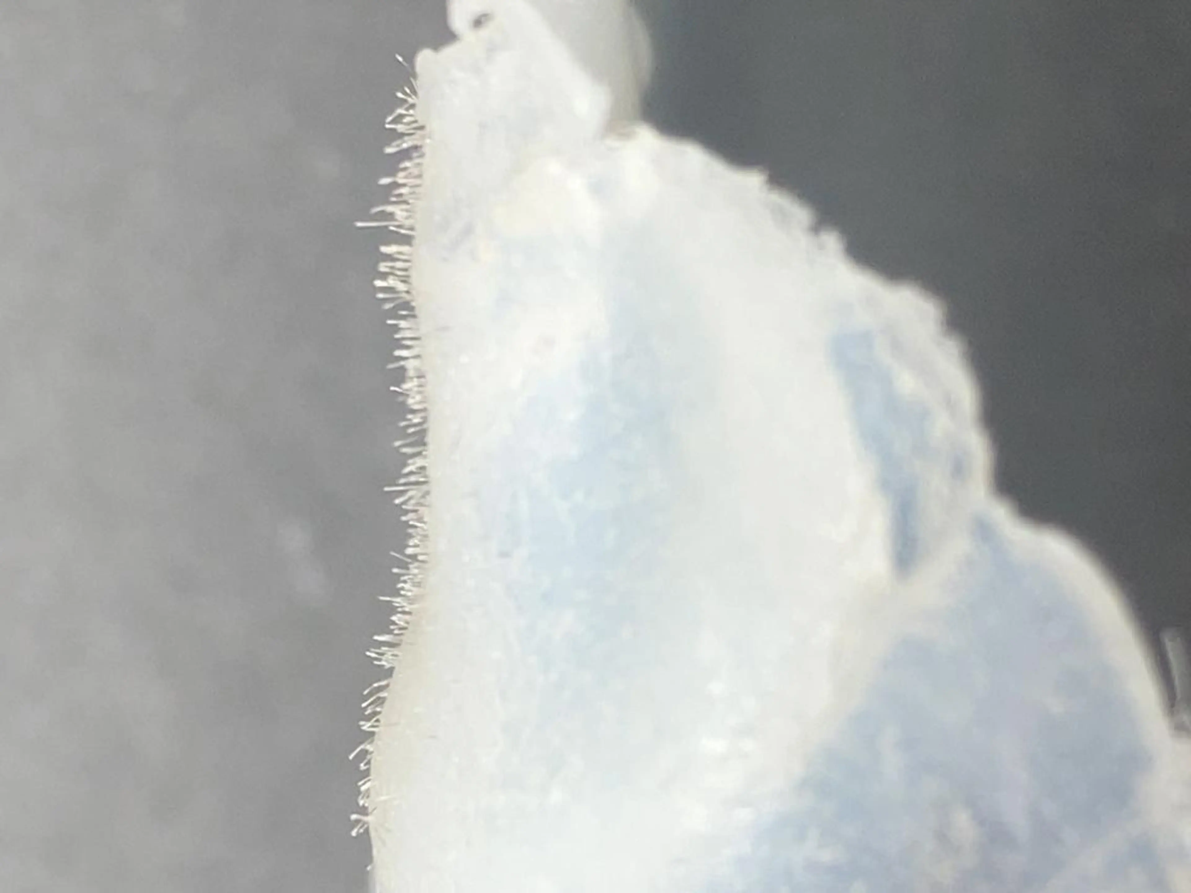 アイブロウ 【薬院】まつげ 眉毛のマツエク・マツパデザイン