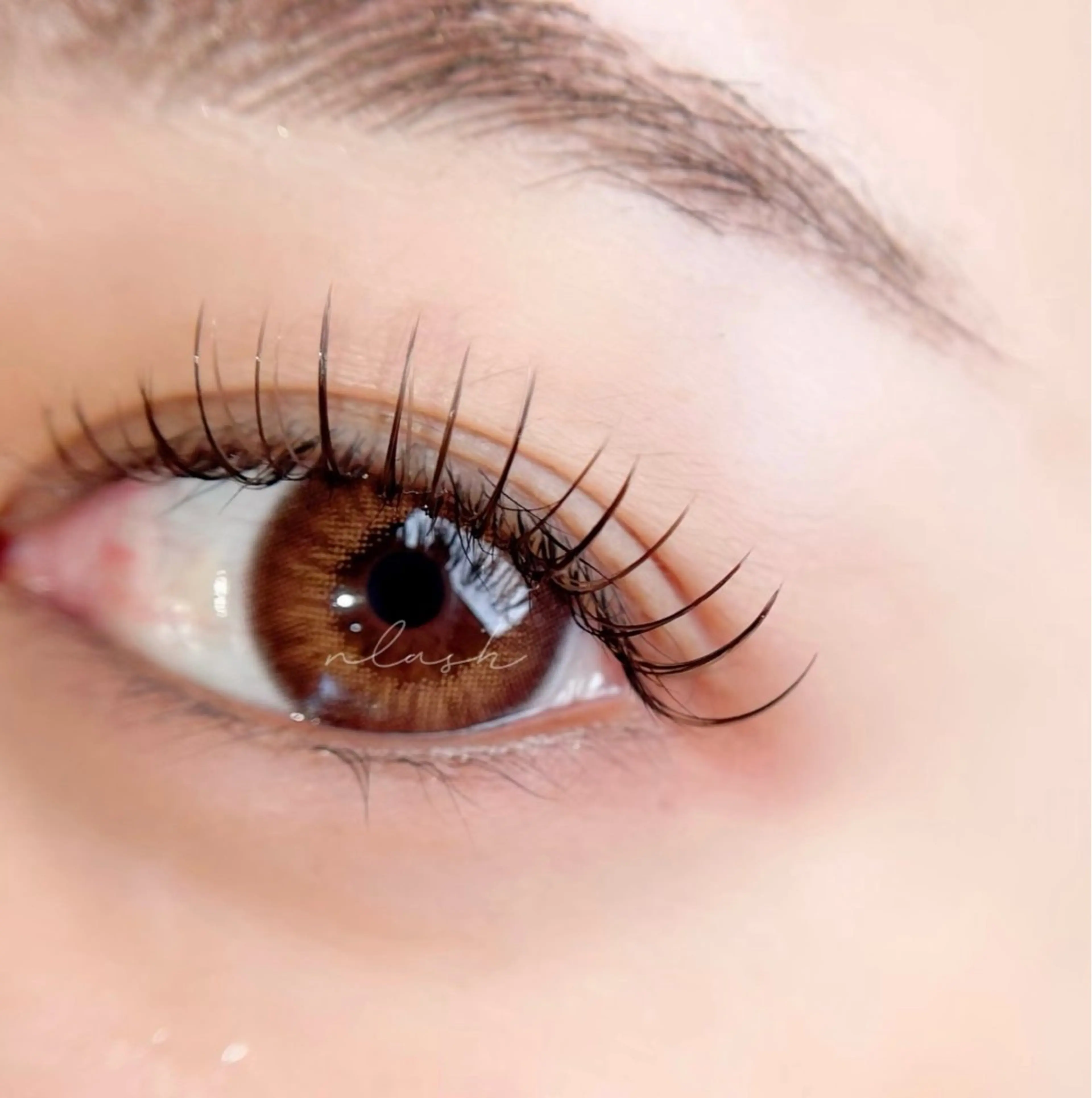 大人気!フラットラッシュ100本の写真