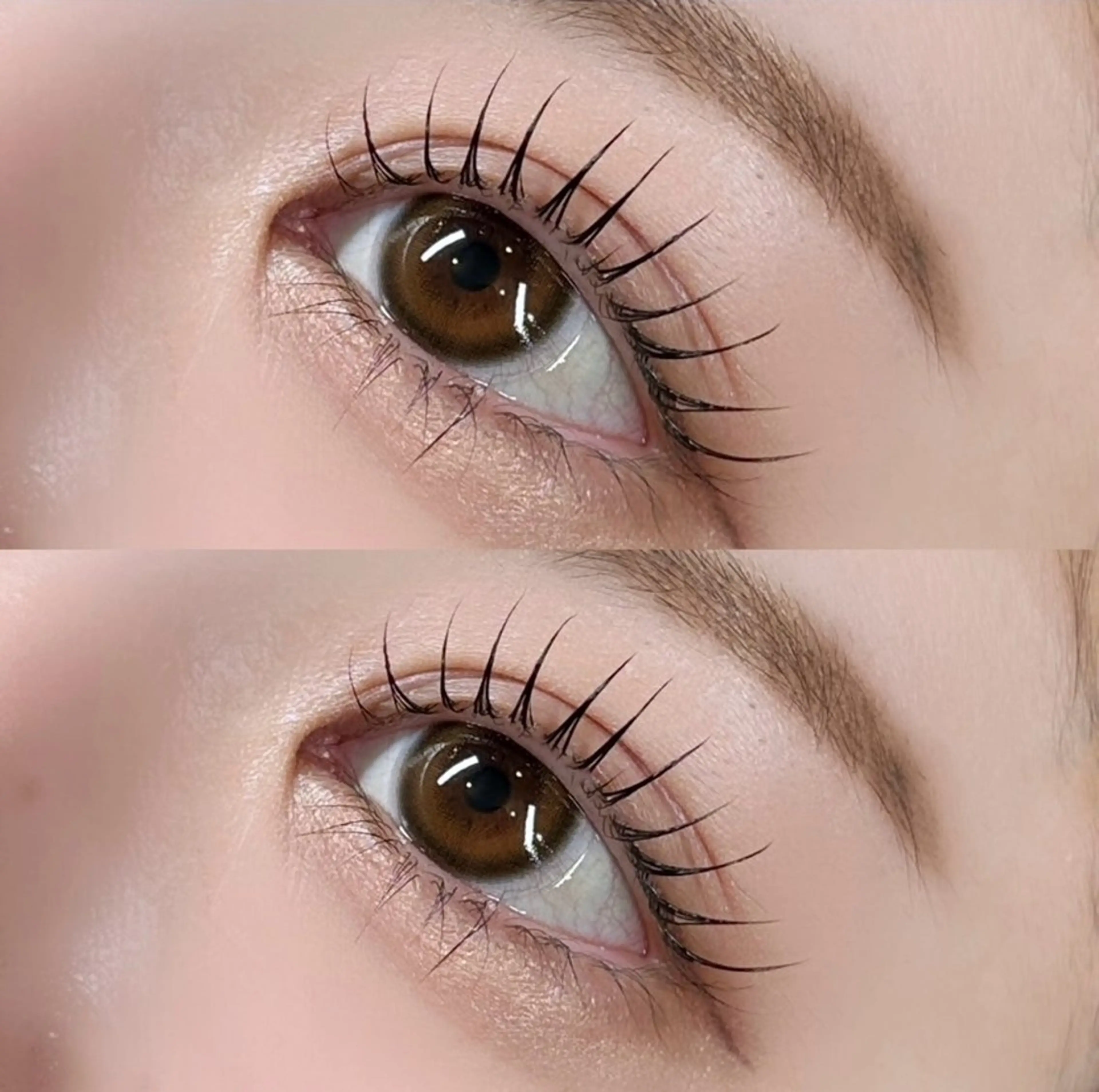 【人気No.3🌟】🧡パリジェンヌ上下(ケラチン導入)+束感コーティング🧡の写真