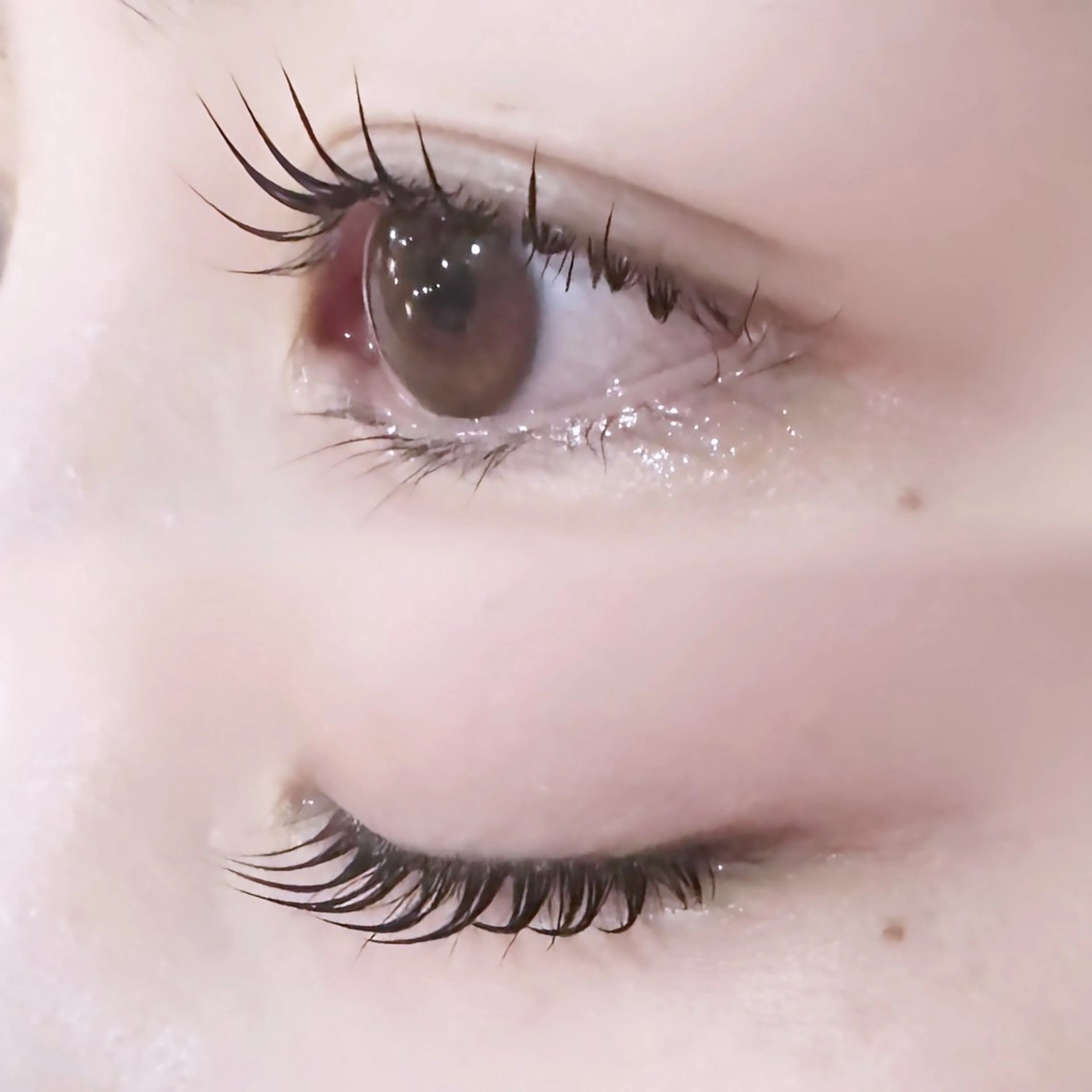 マツエク・マツパ パリジェンヌラッシュリフト 【MEPP】たにわき ゆうなの眉毛・アイブロウイメージ