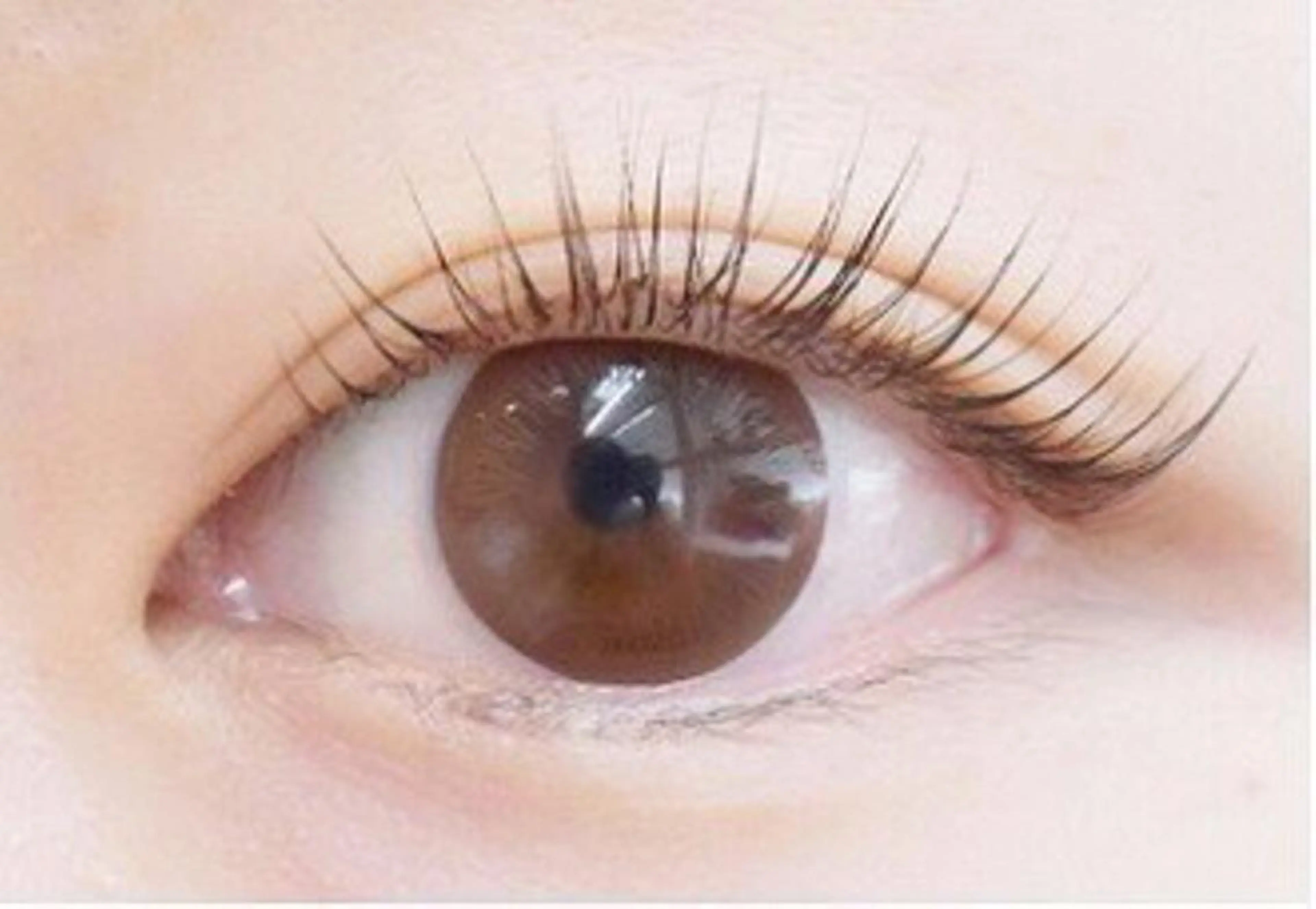 マツエク・マツパ クレアラルーチェ 広島店のネイルデザイン