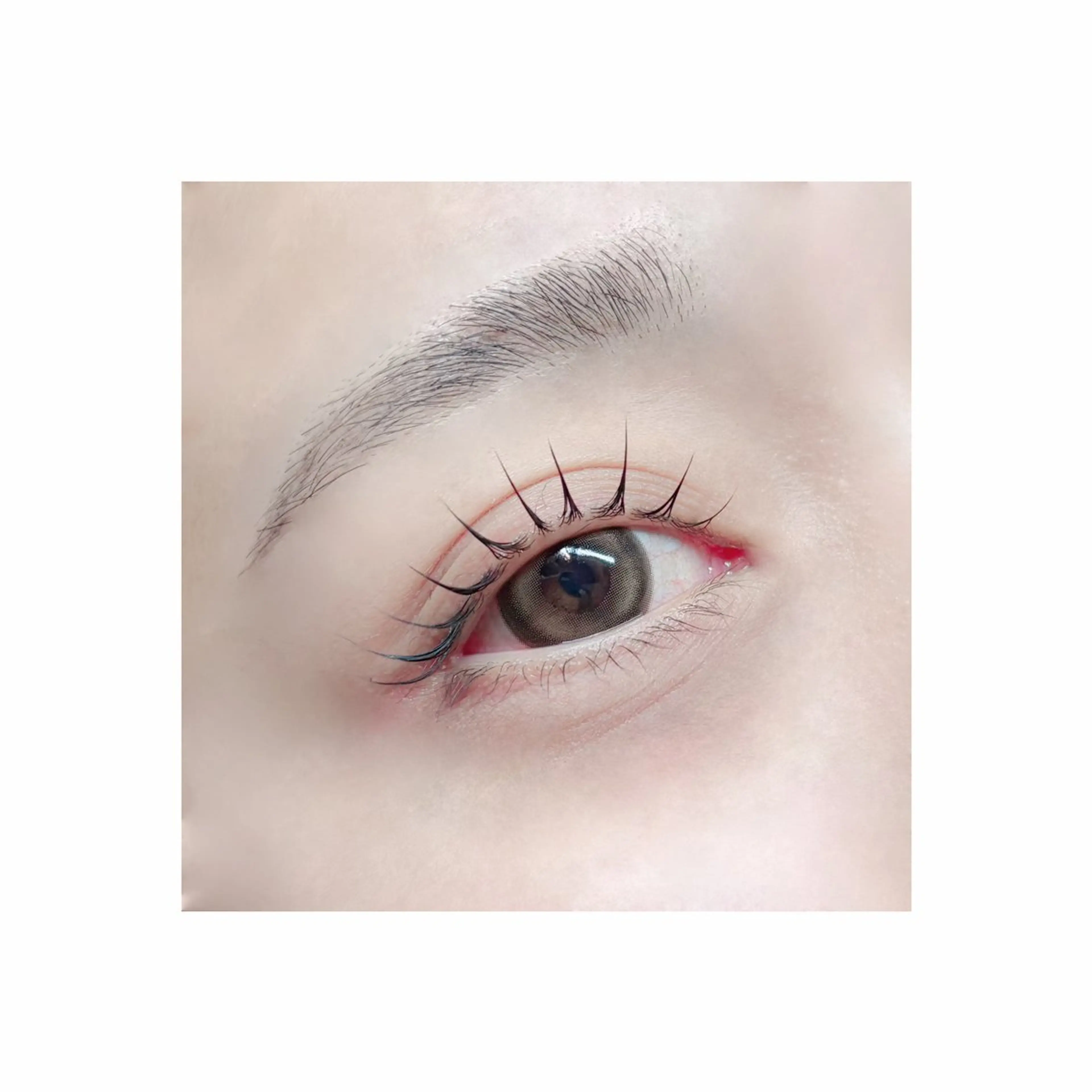 ️🫧ラッシュリフト(まつげパーマ)️🫧の写真