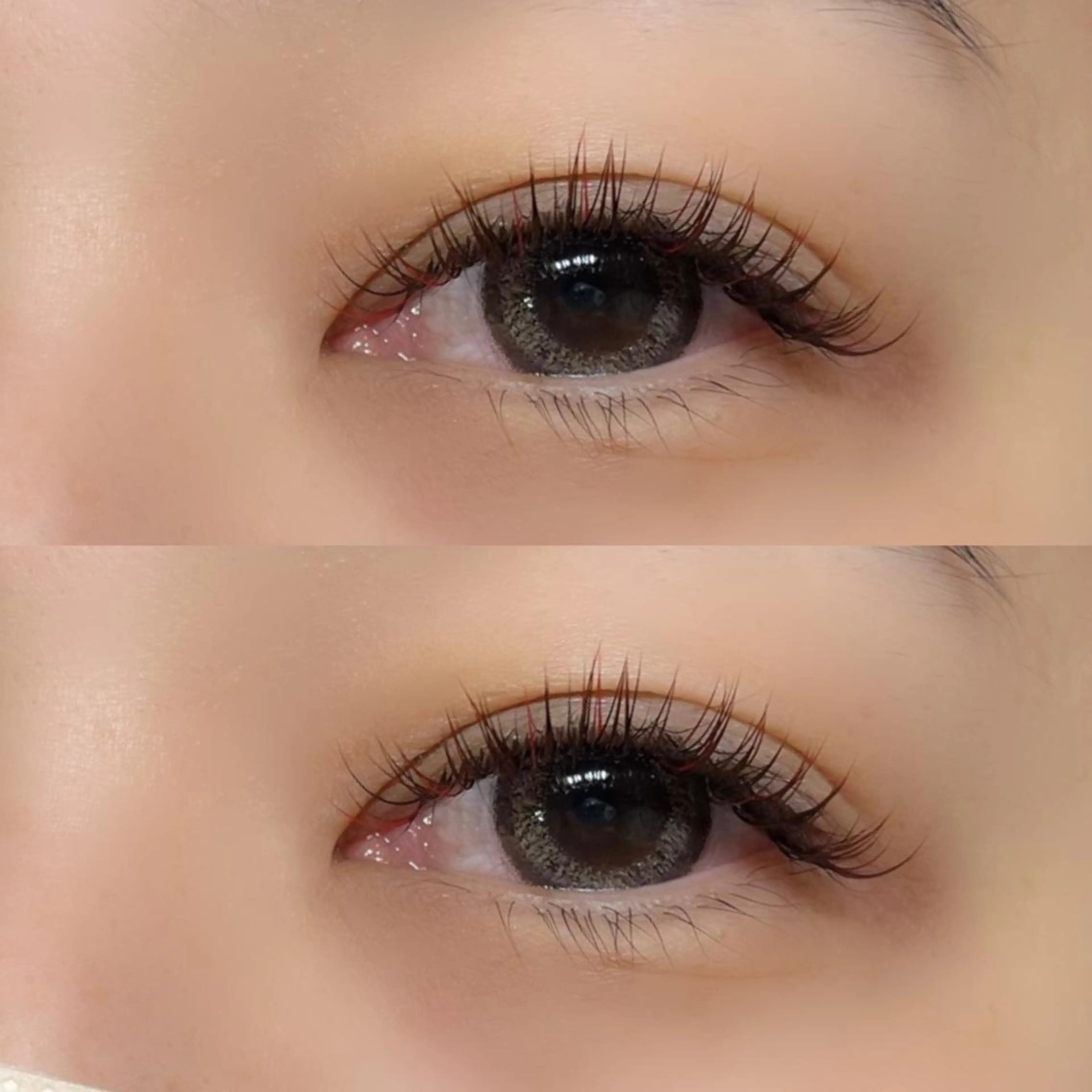 LEDエクステ80本～100本無料モデル🎀の写真