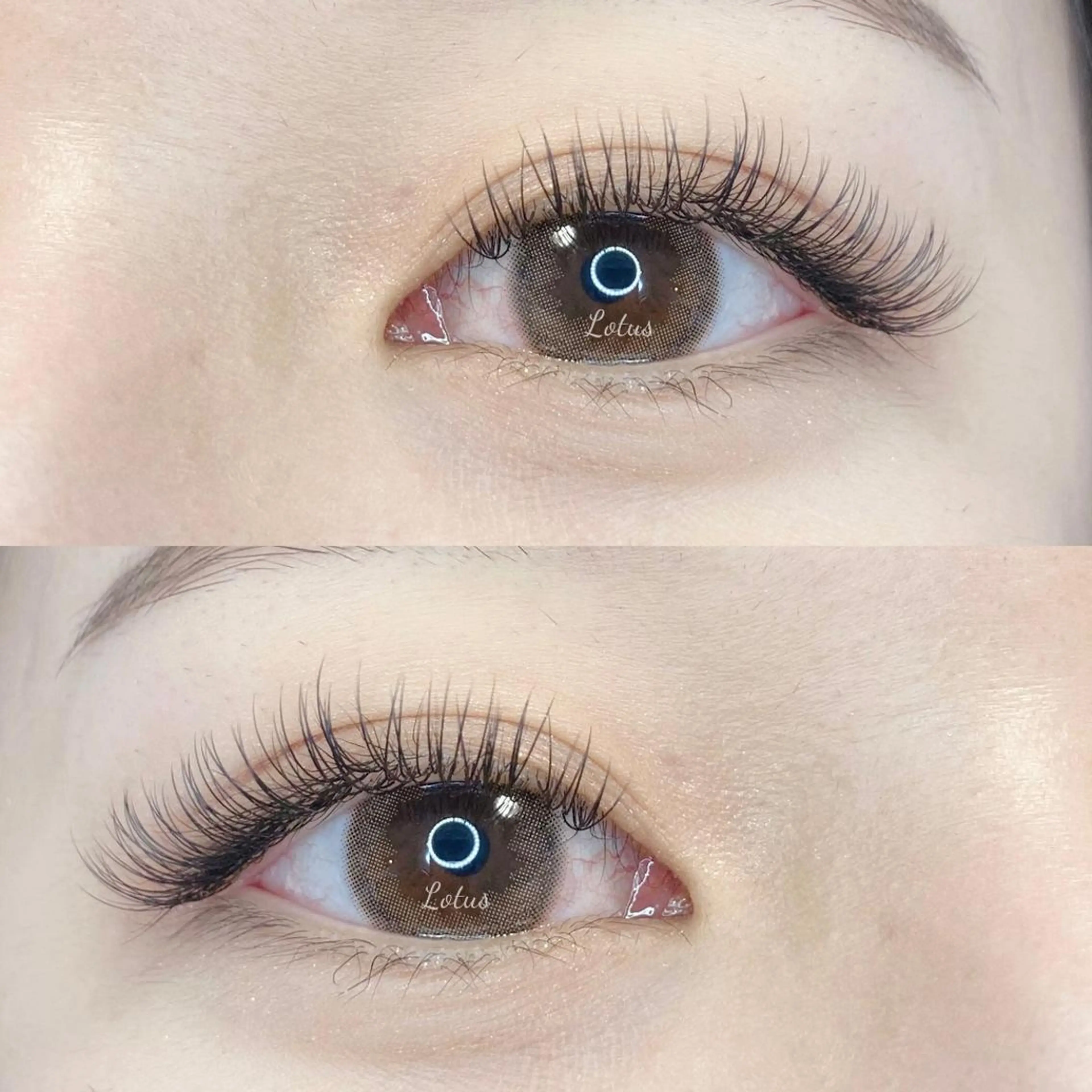 マツエク・マツパ マツエク Lotus所属・Lotus ロータスのマツエク・マツパデザイン