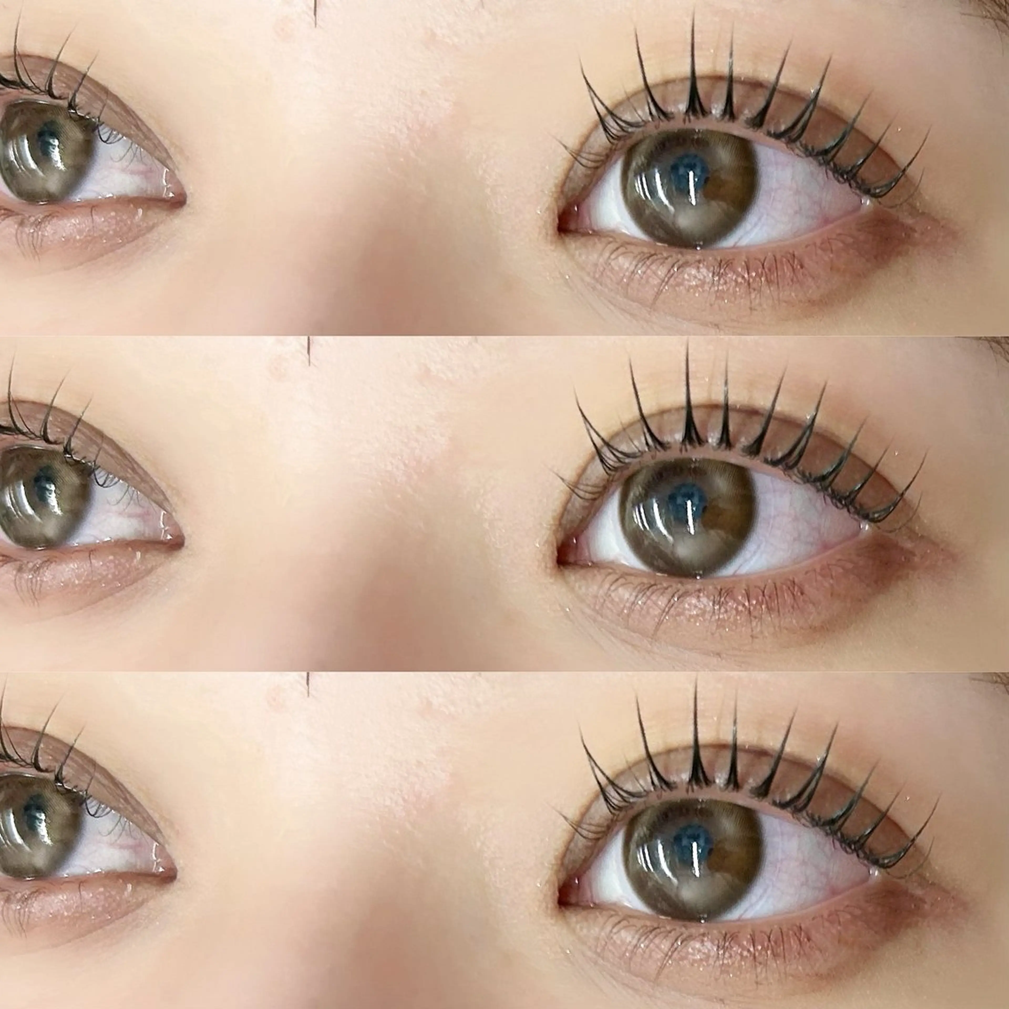 🎀パリジェンヌラッシュリフト(まつ毛パーマ、ラッシュリフト)の写真