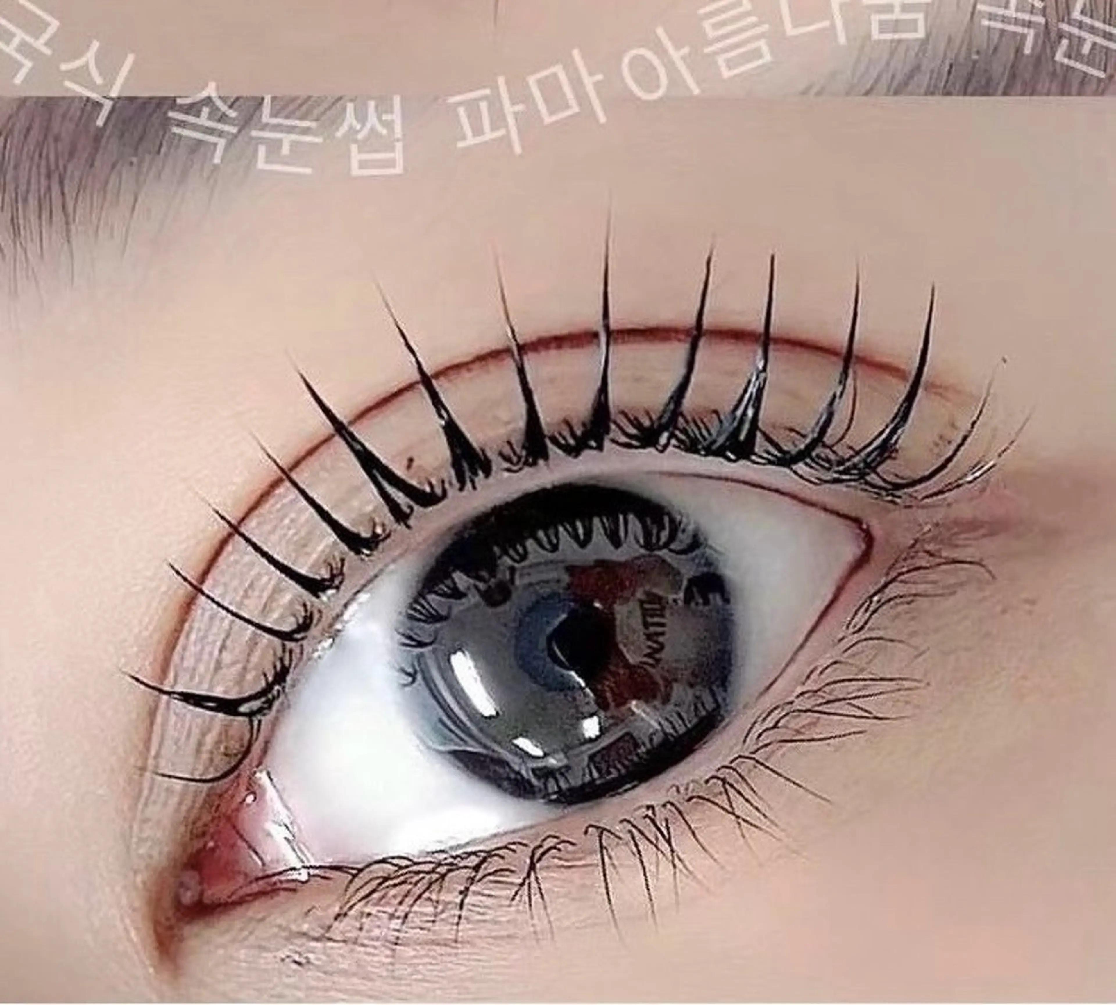 U-30❕組み合わせメニュー❕韓国🇰🇷まつパ【上のみ】×眉wax🐈‍⬛♥の写真