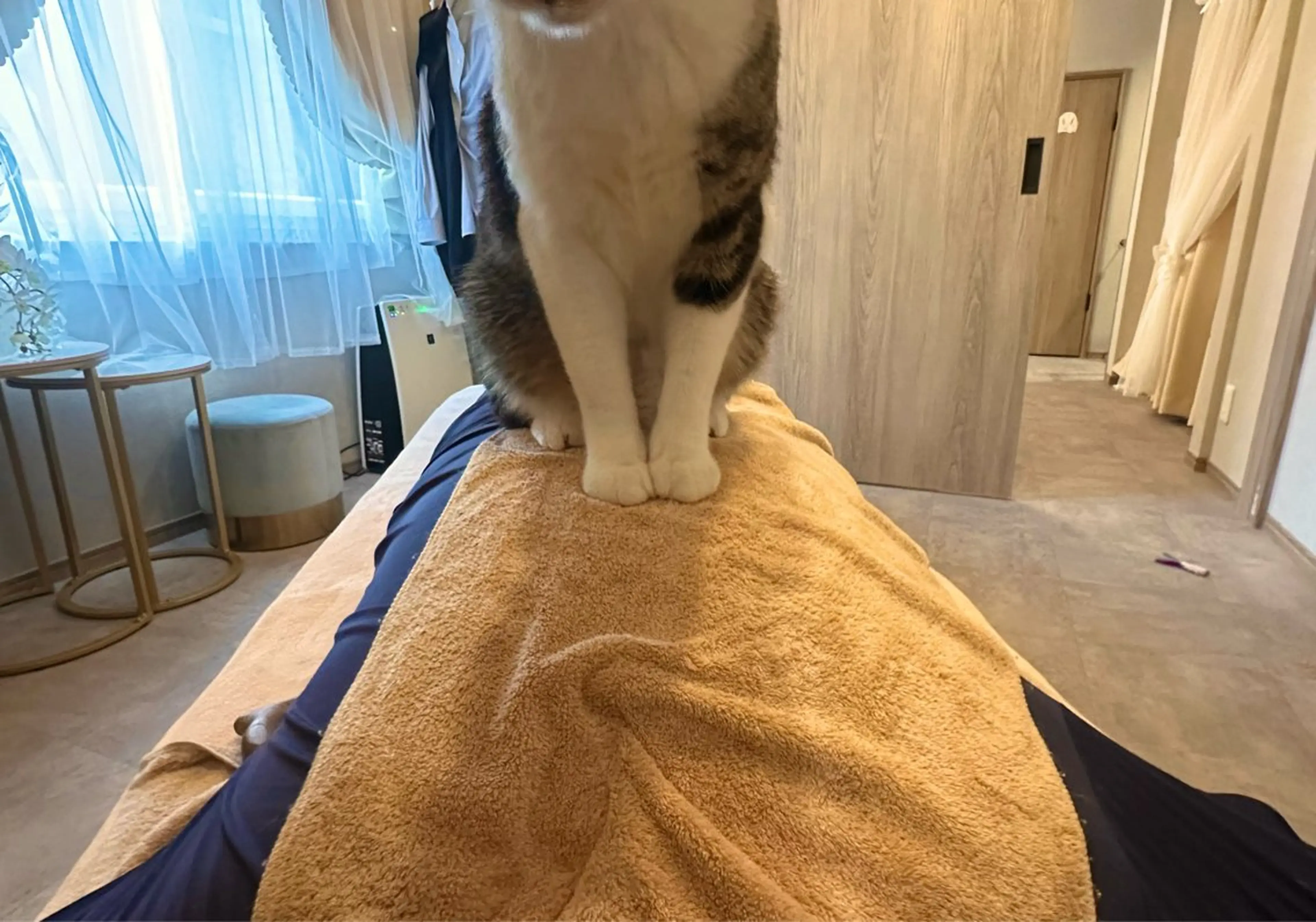 リラク 猫がいるマッサージ屋 🐈salonねこのエステ・リラクイメージ