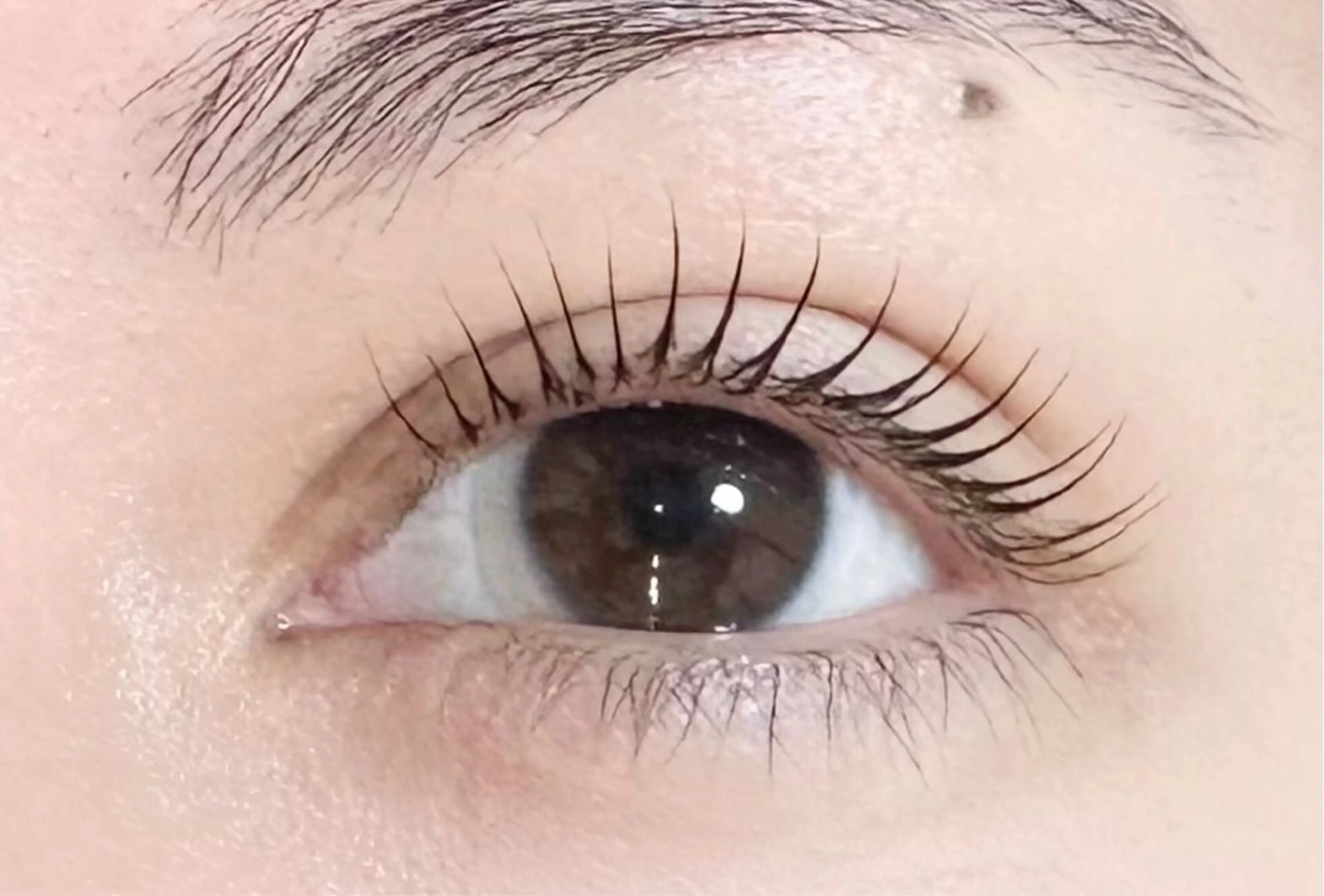 マツエク・マツパ 一重×まつ毛パーマ Neo beauty松原店のマツエク・マツパデザイン