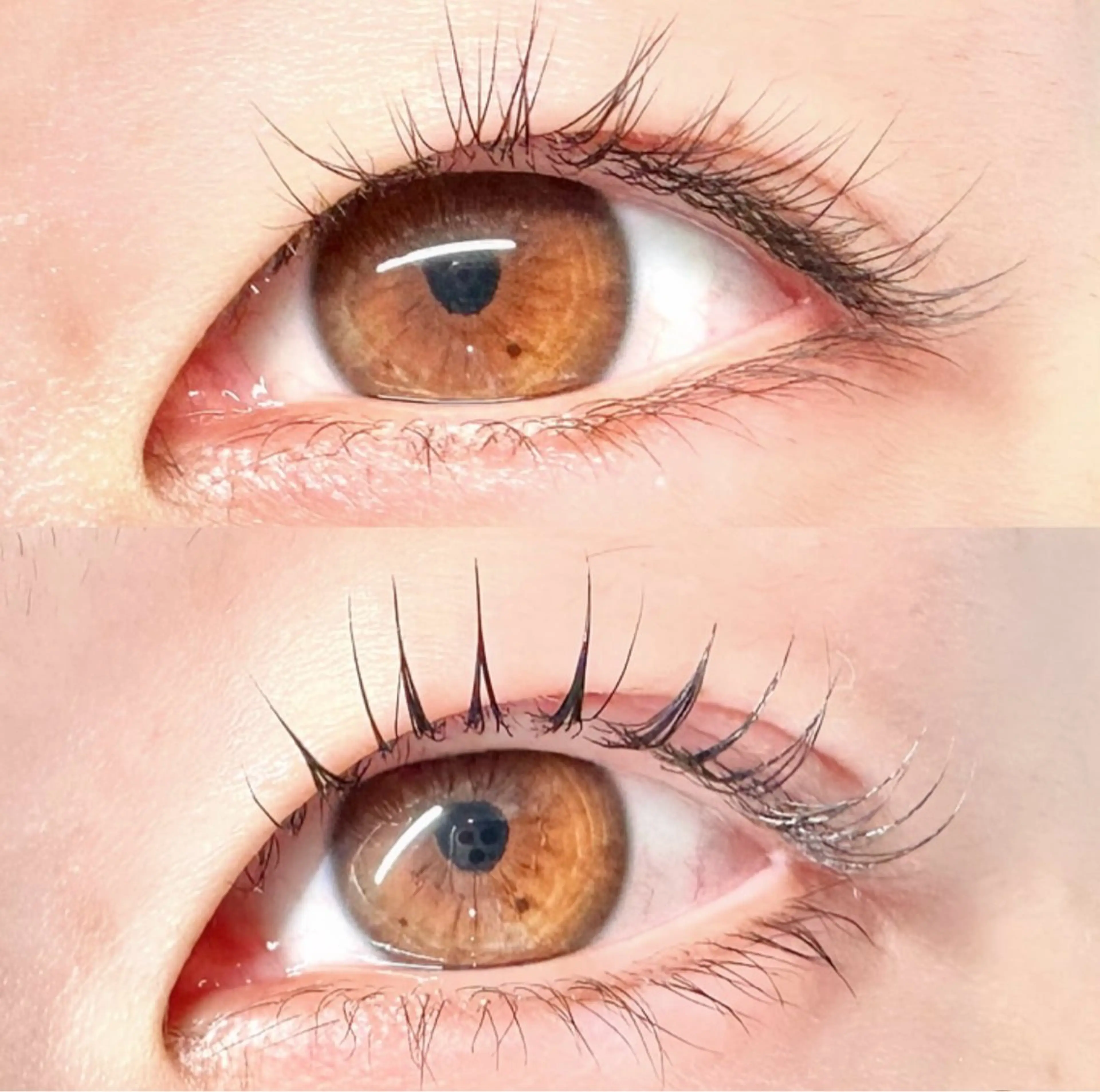 マツエク・マツパ パリジェンヌラッシュリフト 一重×まつ毛パーマ momoka 💕のマツエク・マツパデザイン