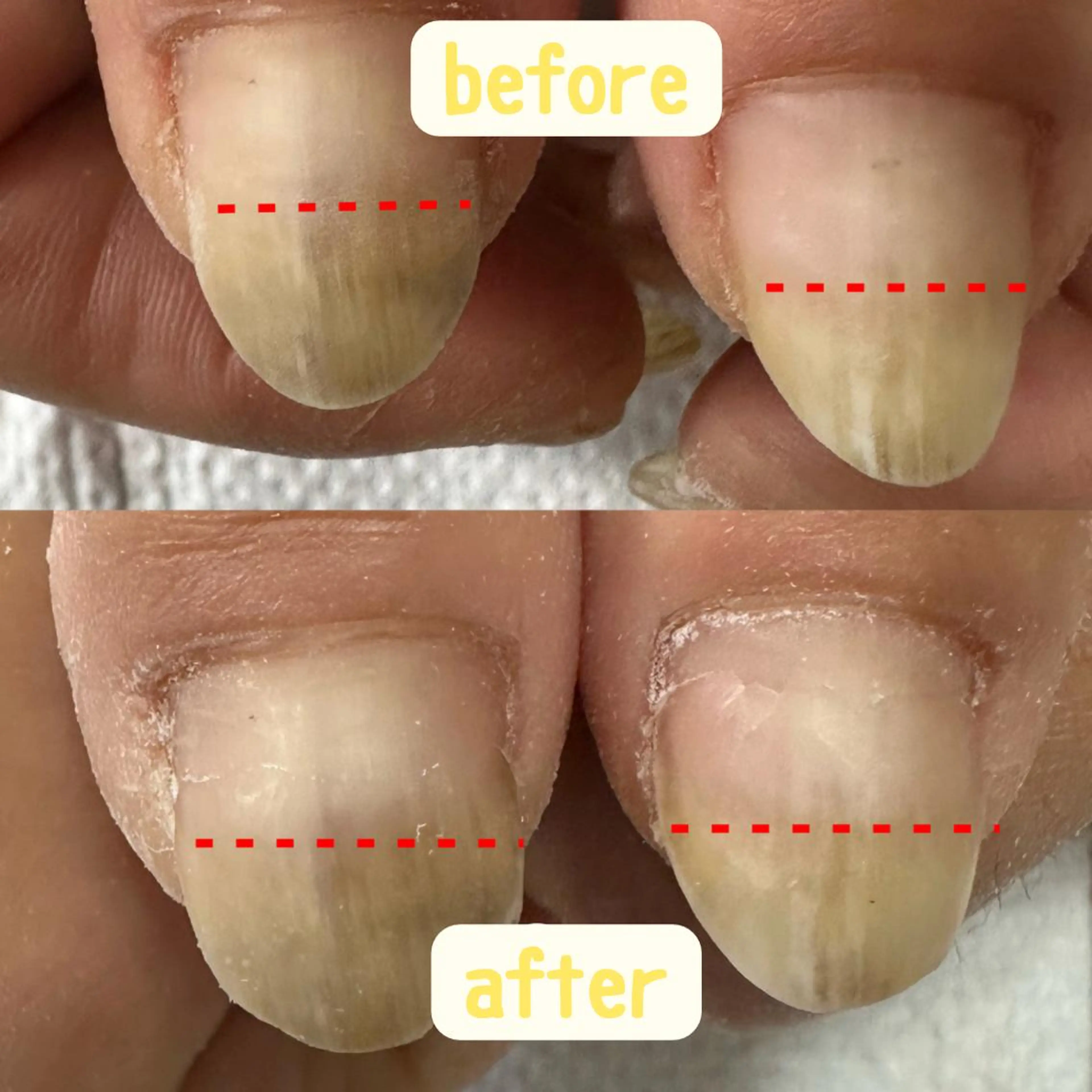 ネイル ネイルケアサロン Campanulaのネイルデザイン