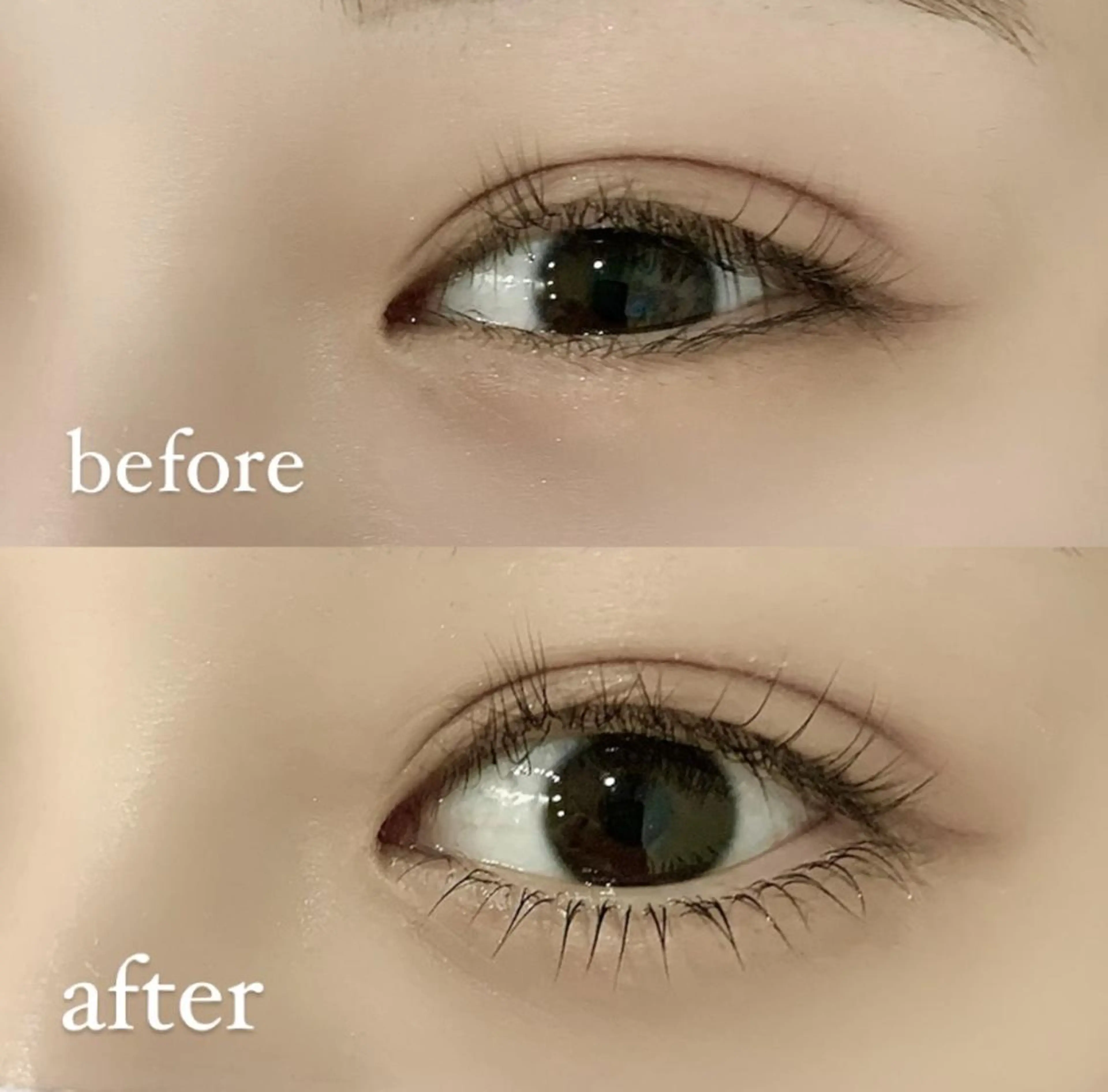 マツエク・マツパ Loel Ayaneのマツエク・マツパデザイン