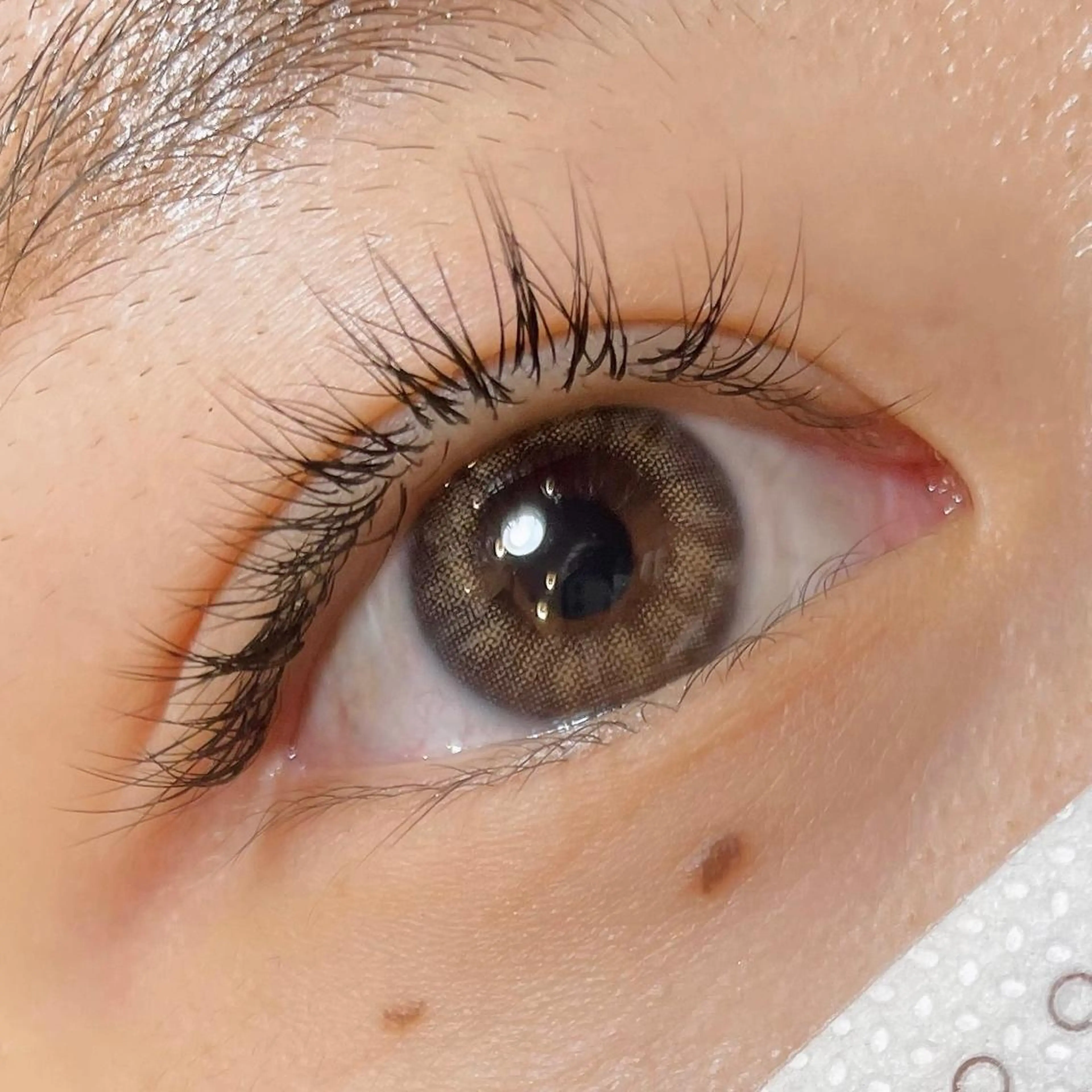 マツエク・マツパ ナチュラル 玉木 愛の眉毛・アイブロウイメージ