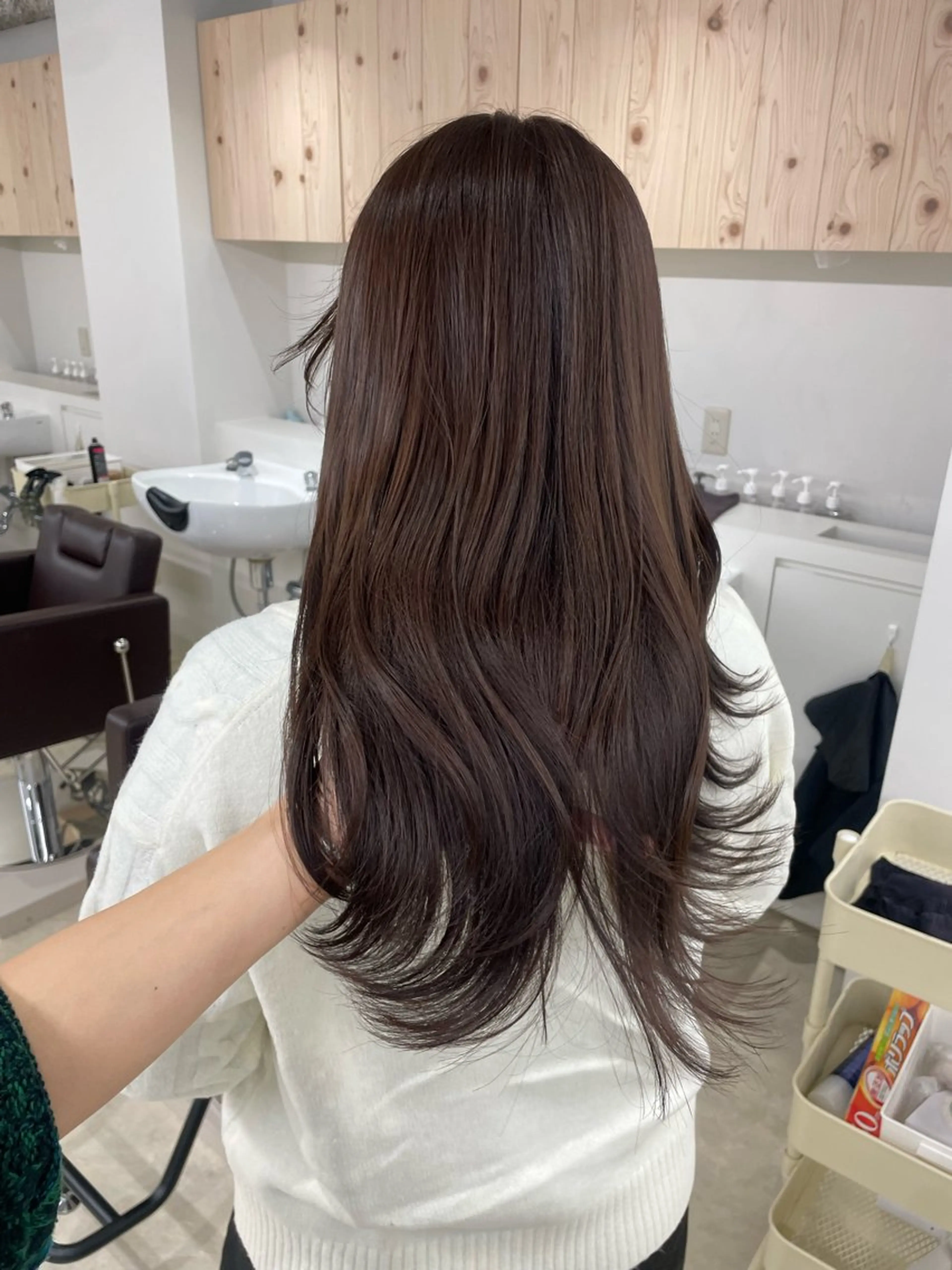 ロング カラー カット ヘアカラー トリートメント ヘアセット 新宿/韓国ヘア/ 髪質改善ストレートのヘアスタイル